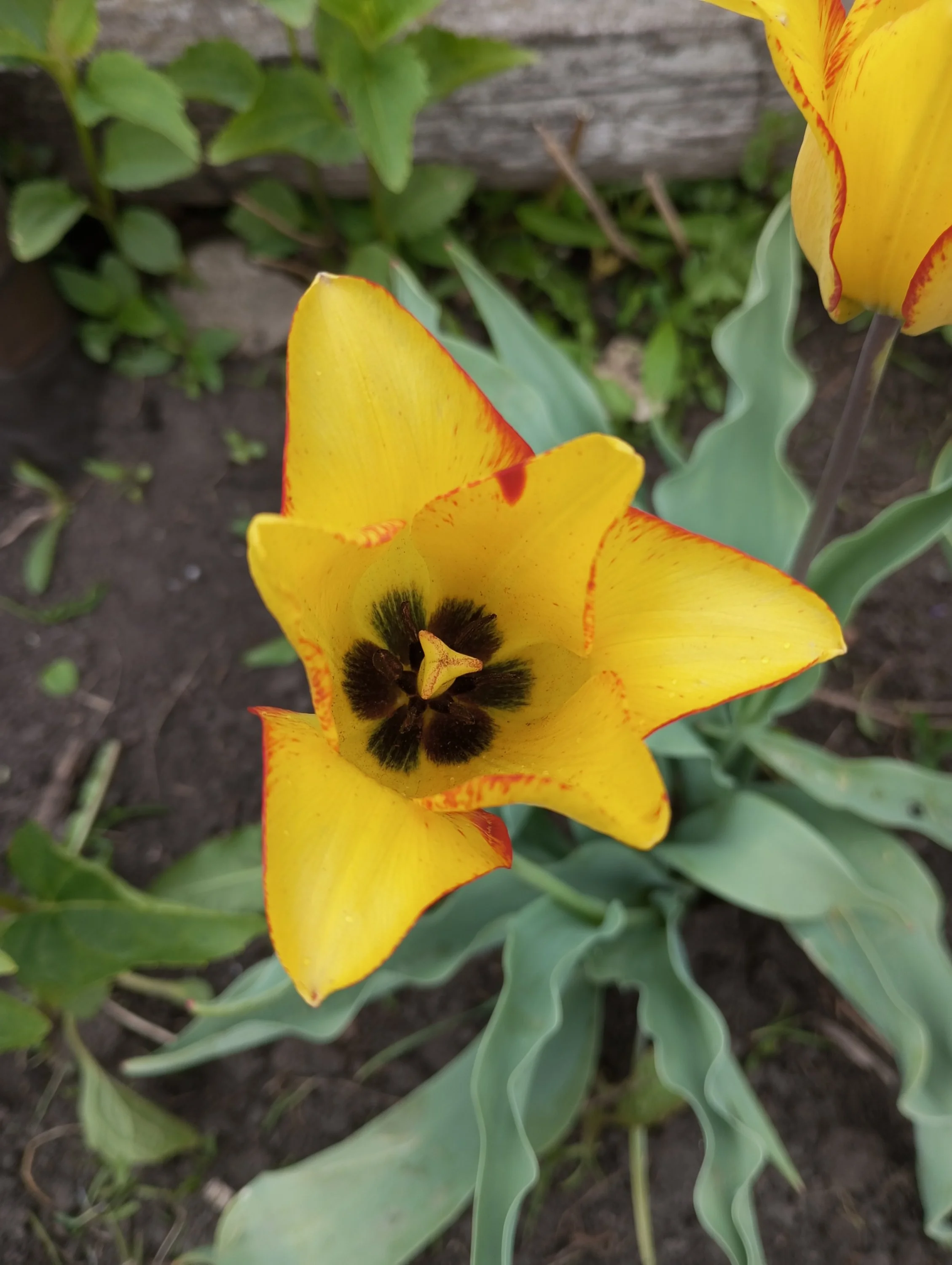 2024-05-17 10-22-41.webp