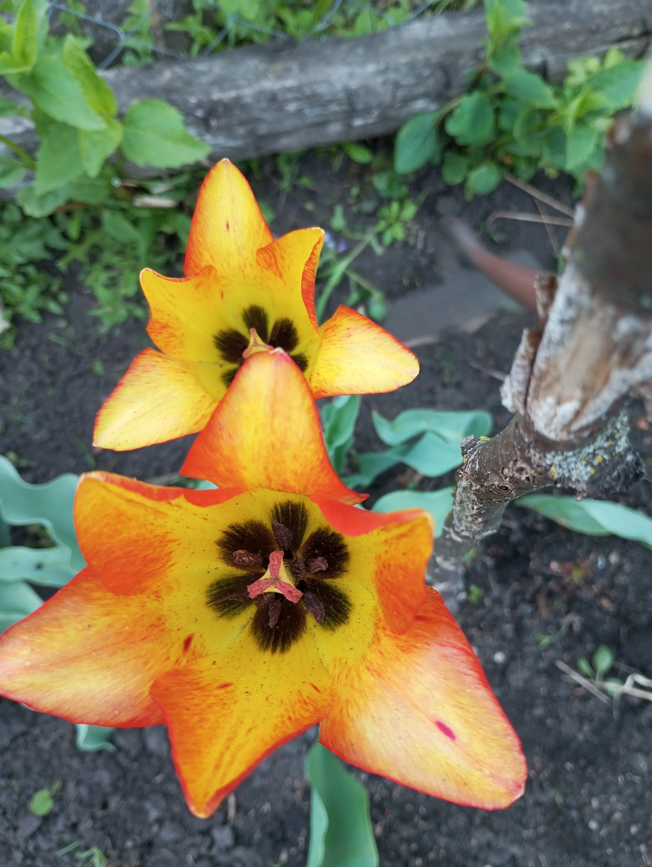 2024-05-17 10-22-47.webp