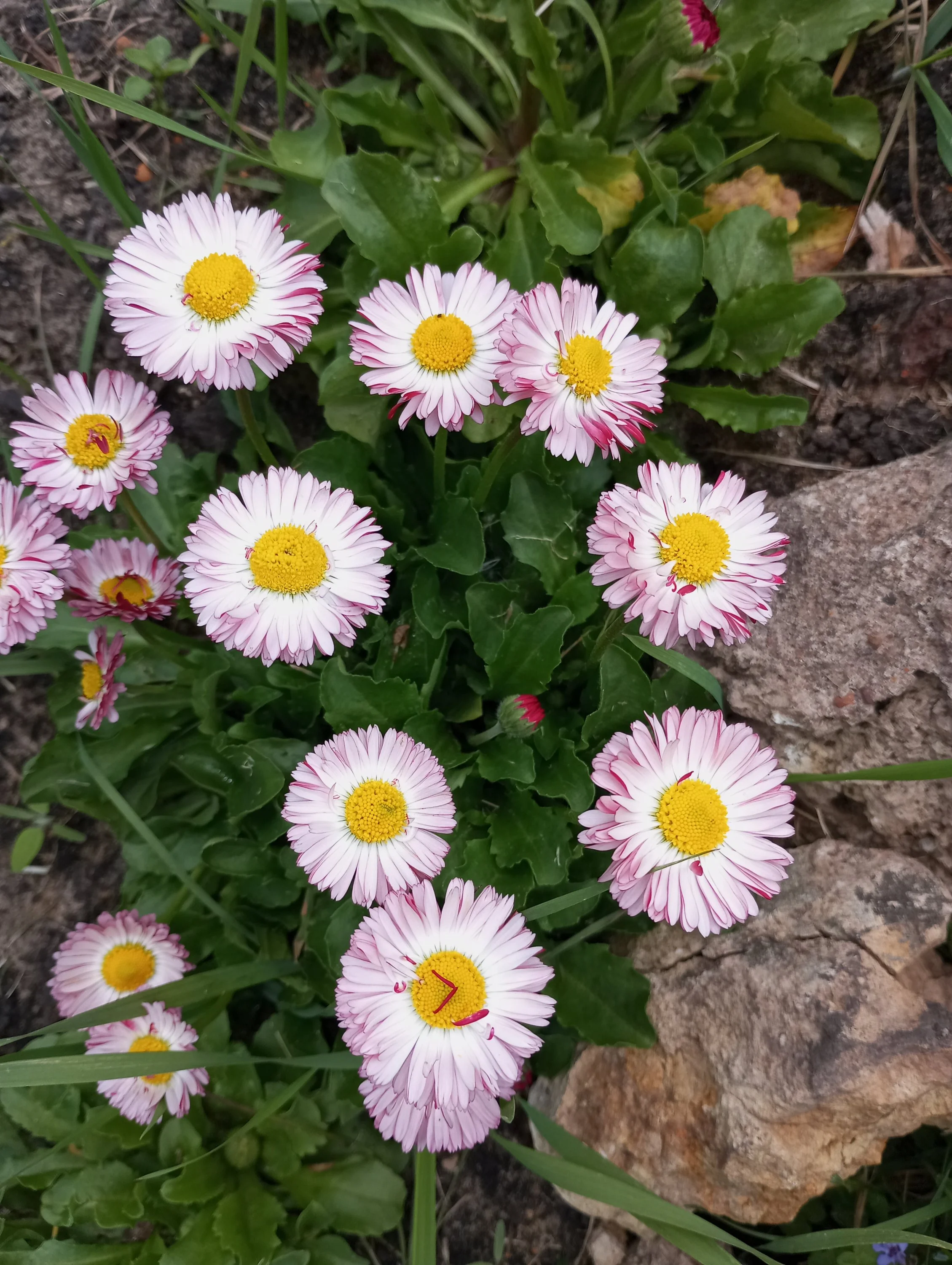 2024-05-17 15-30-58.webp