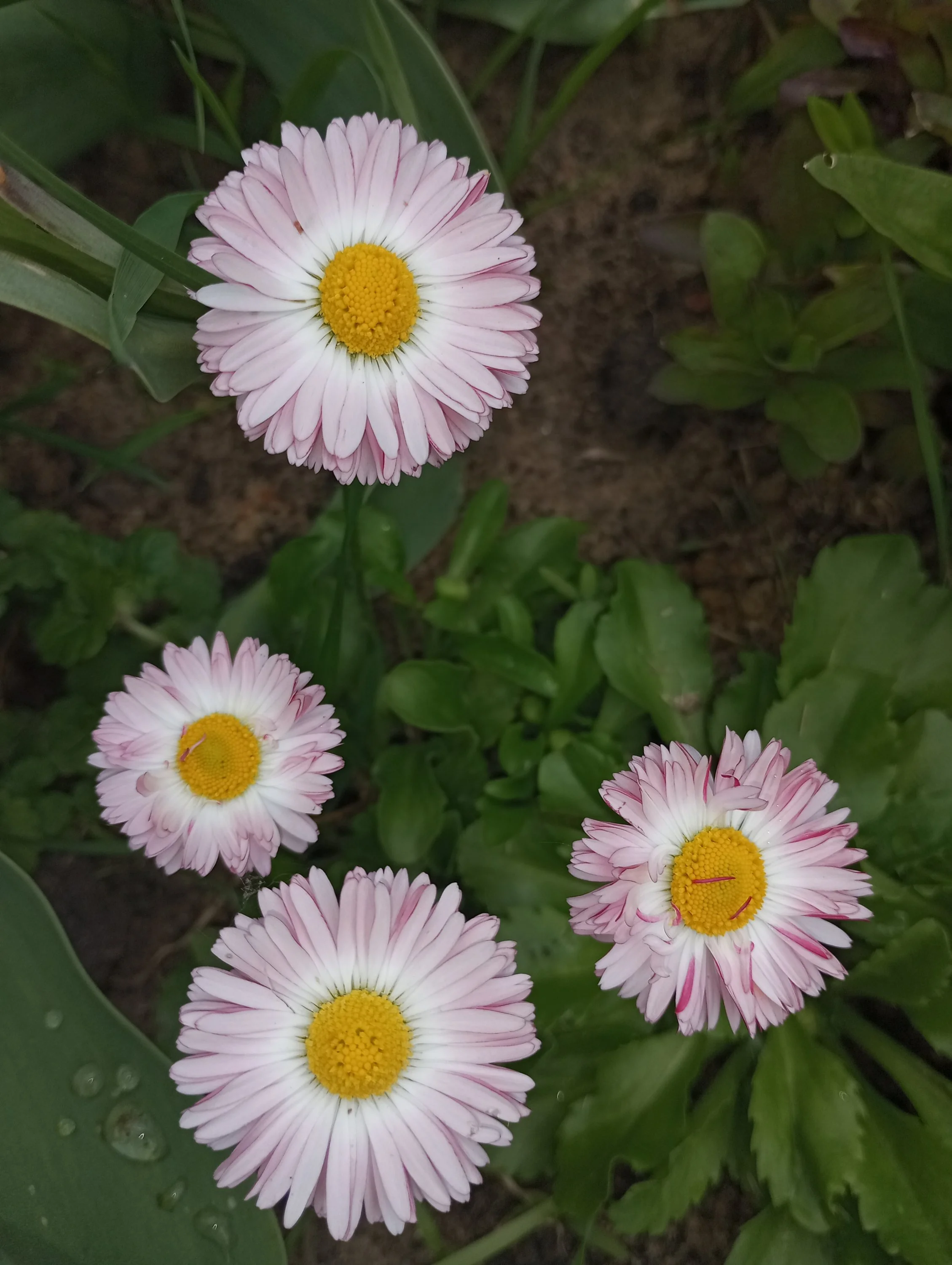 2024-05-17 15-31-04.webp