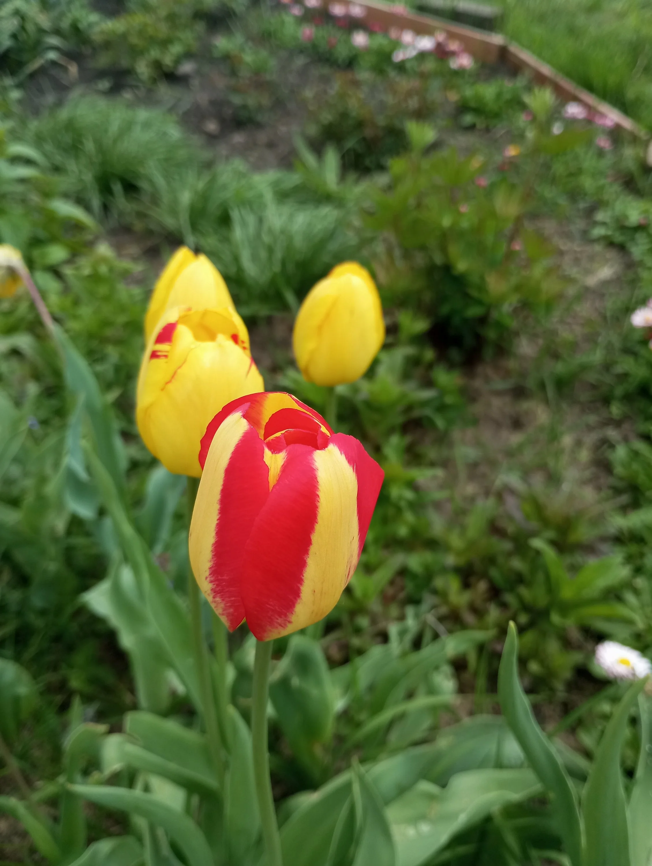 2024-05-17 15-31-11.webp