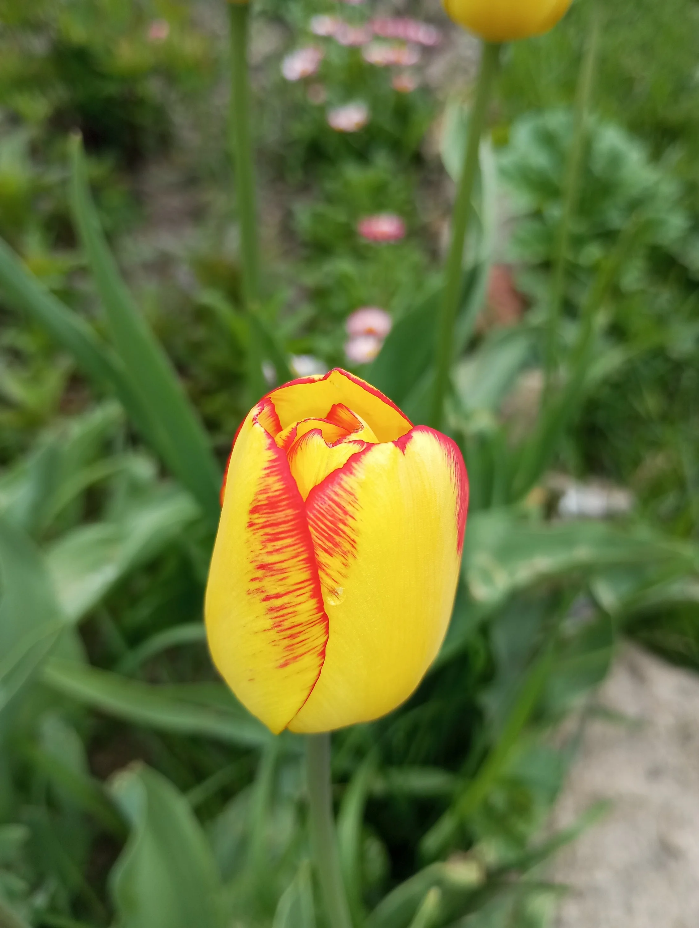 2024-05-17 15-31-17.webp