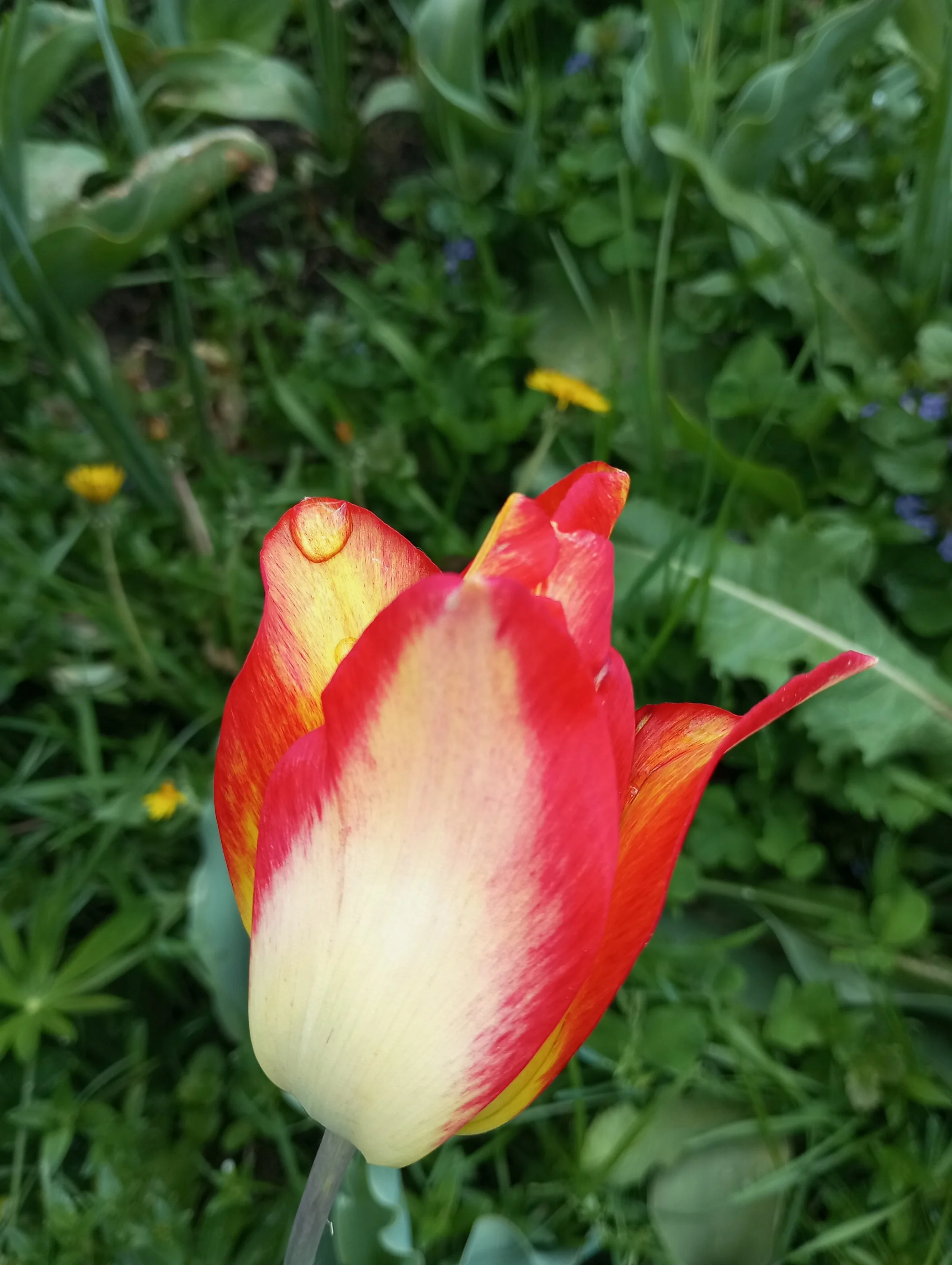 2024-05-17 15-31-26.webp