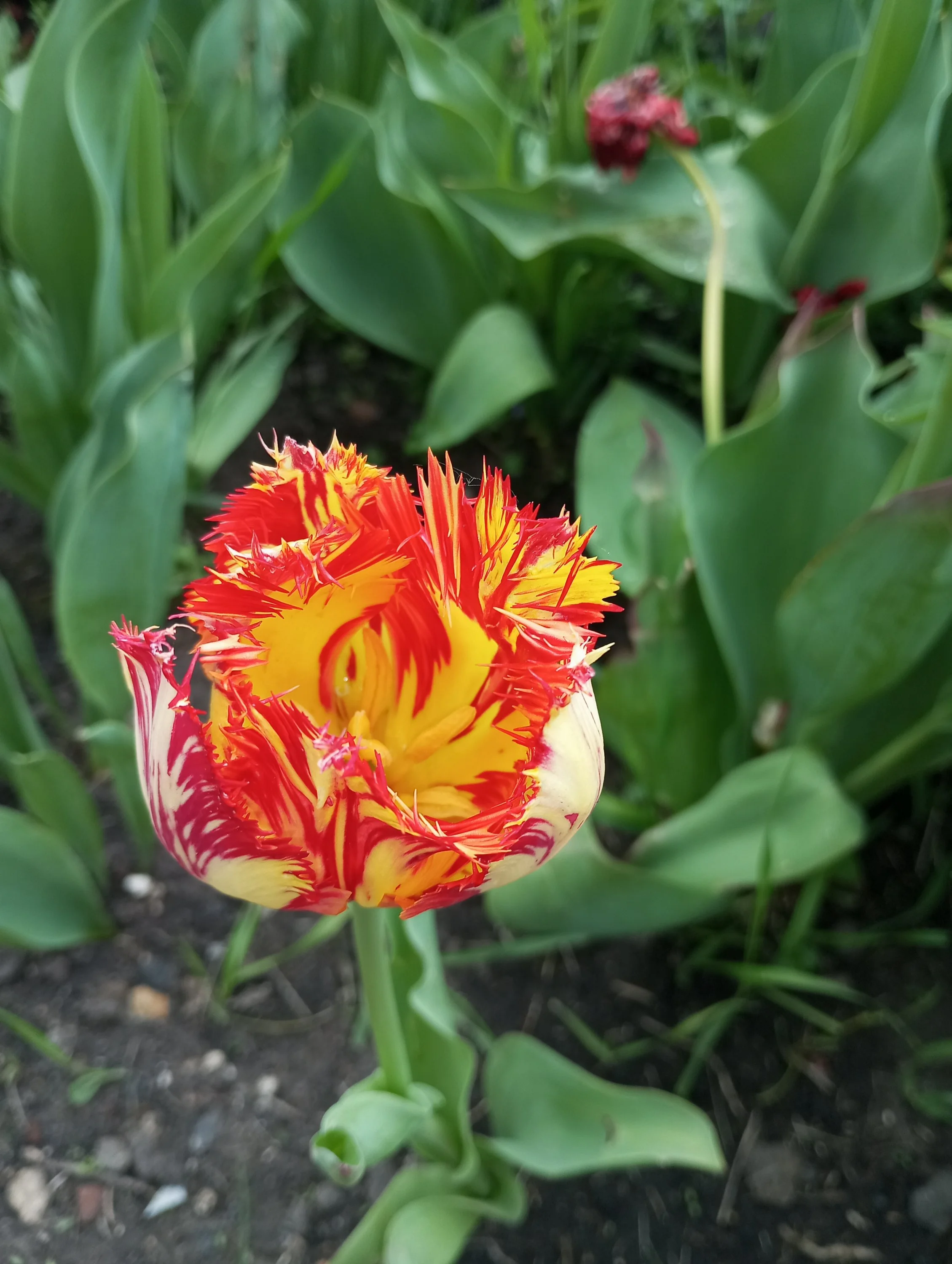 2024-05-17 15-31-35.webp