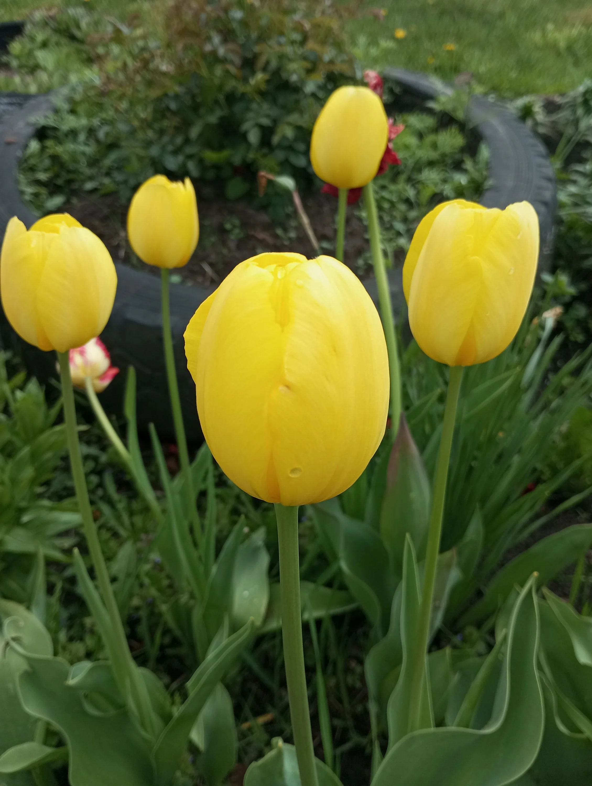 2024-05-17 15-31-41.webp