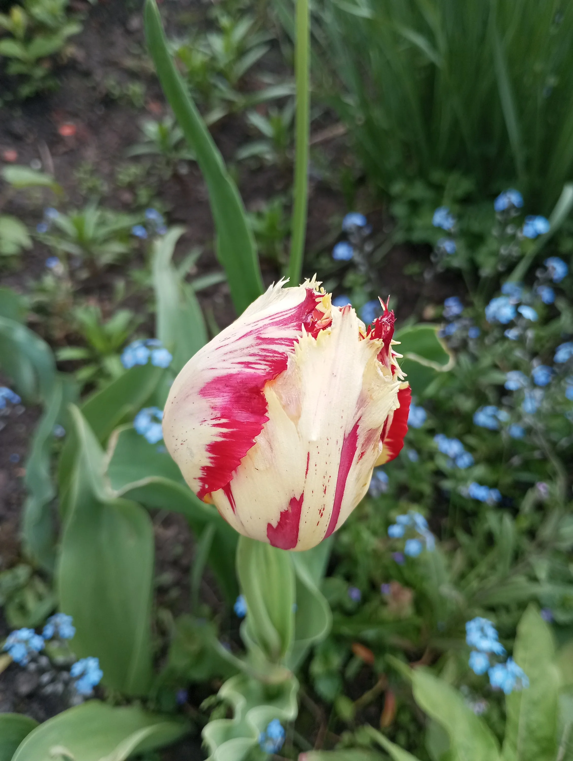 2024-05-17 15-31-48.webp