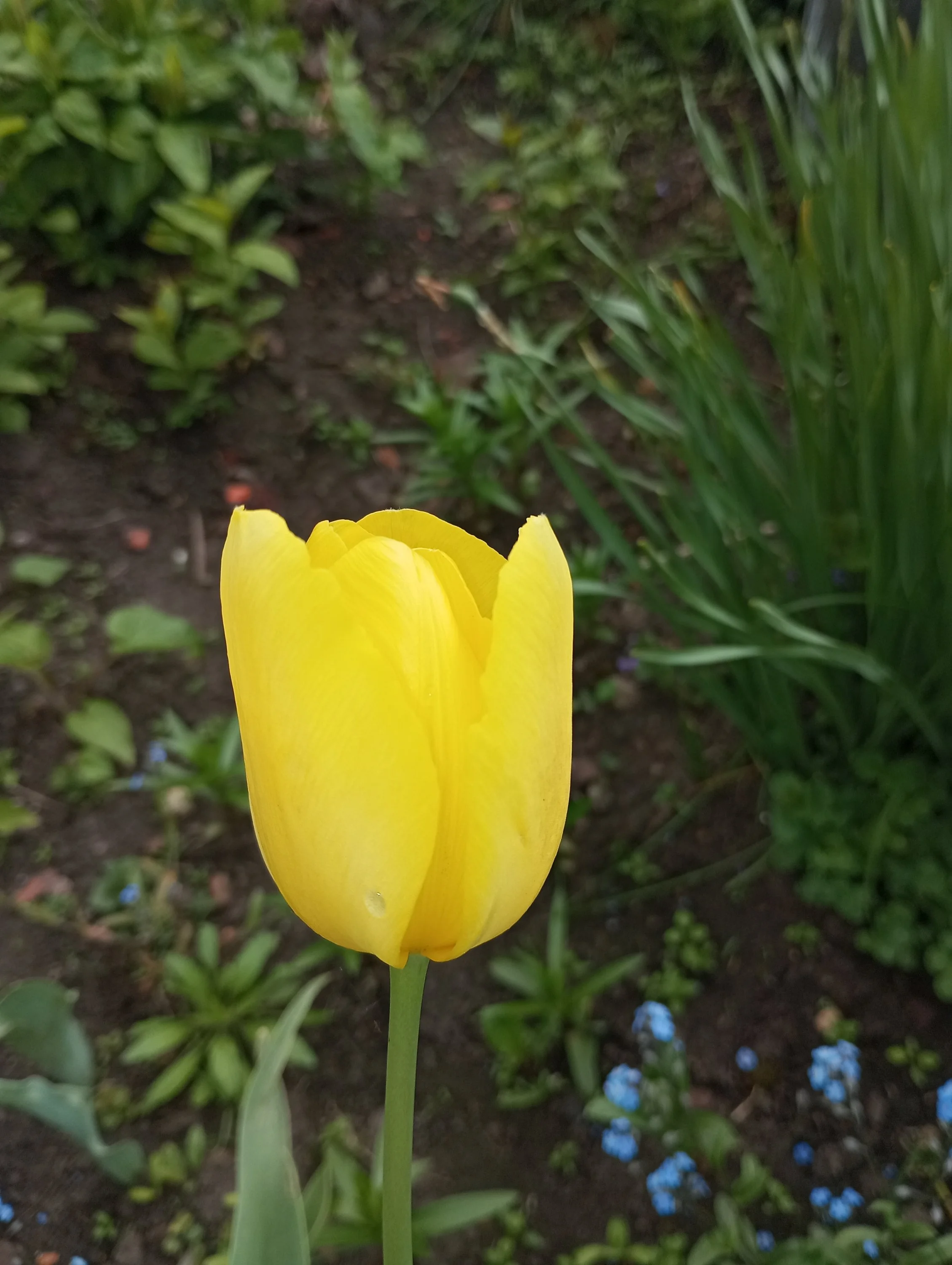 2024-05-17 15-31-55.webp