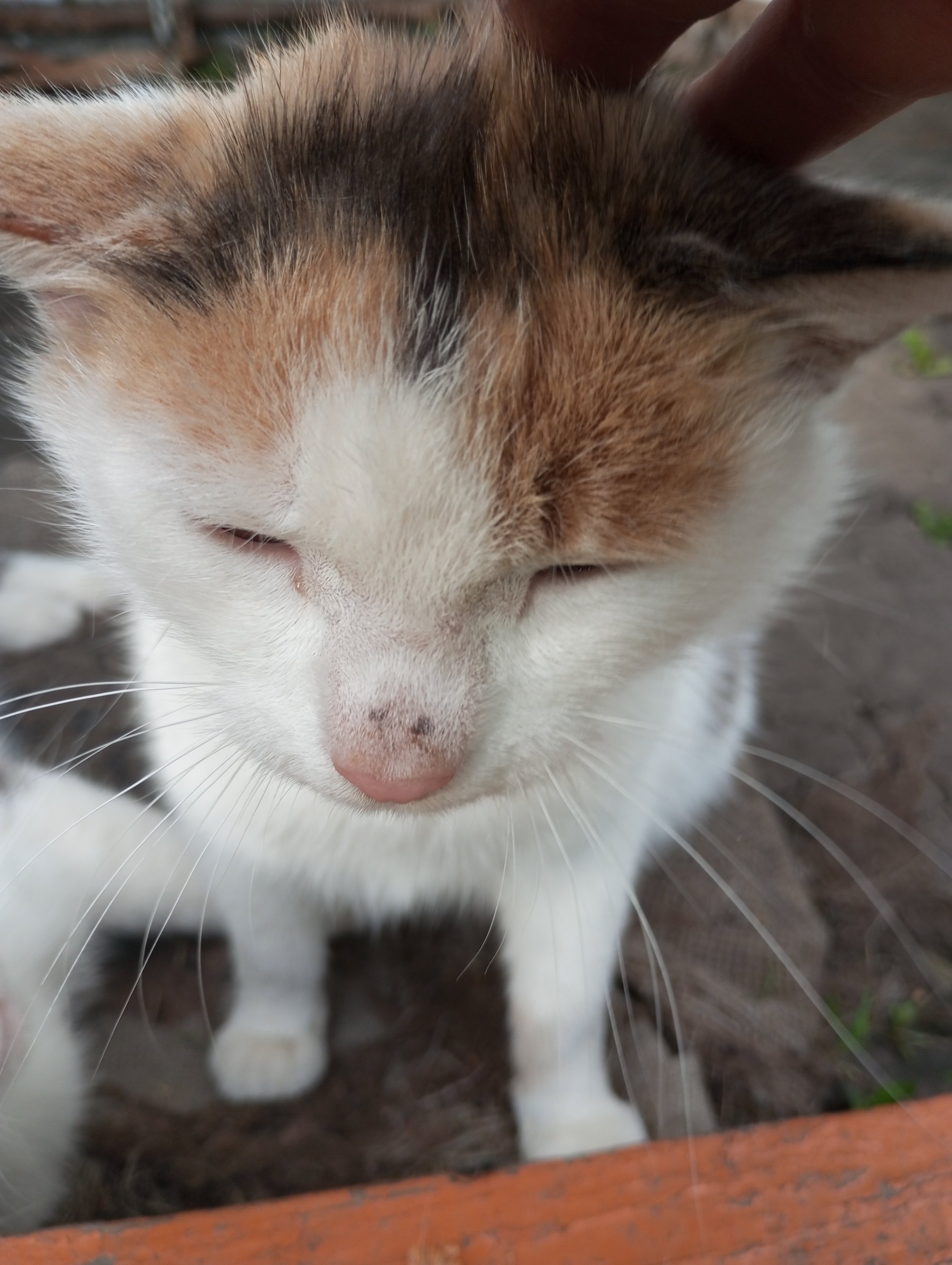 2024-05-17 17-03-43.JPG