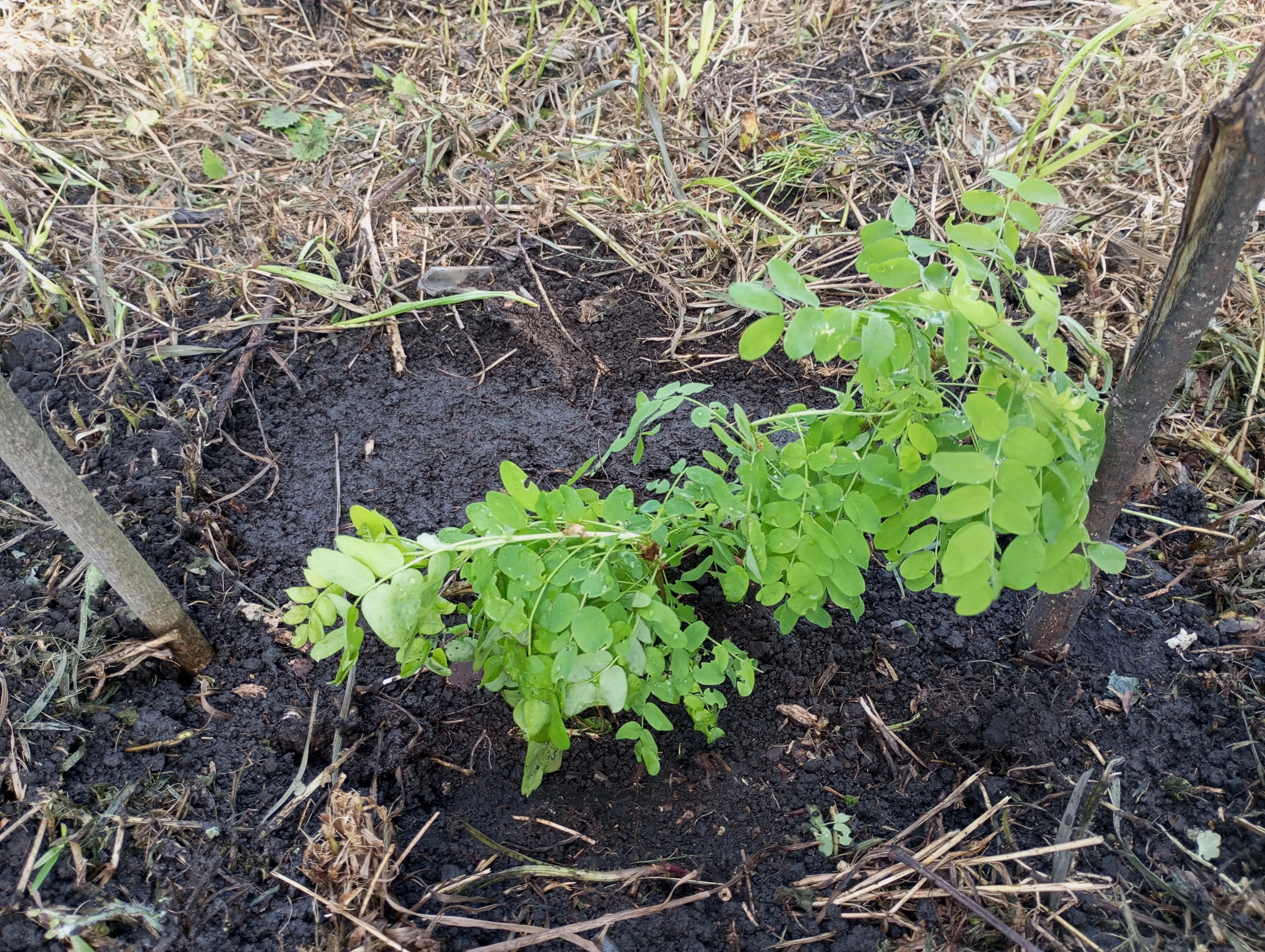 2024-05-18 15-22-54.webp