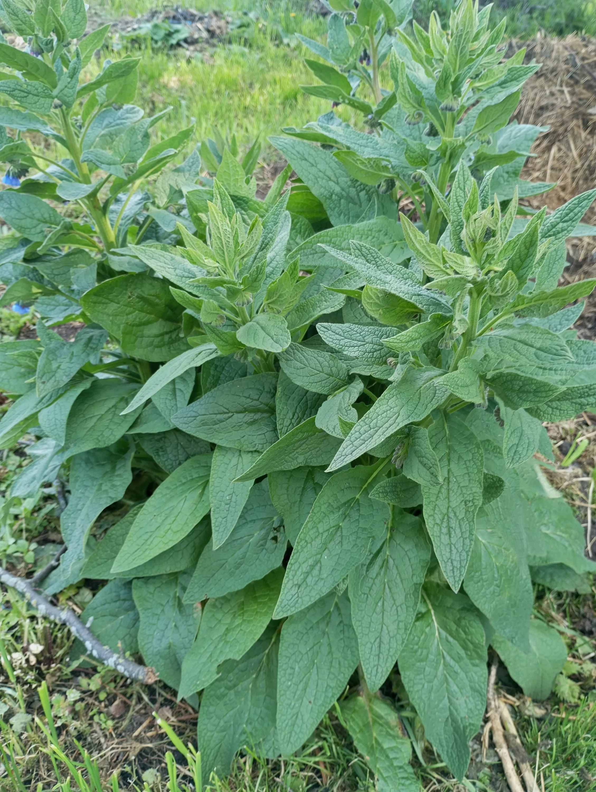 2024-05-18 15-23-02.webp