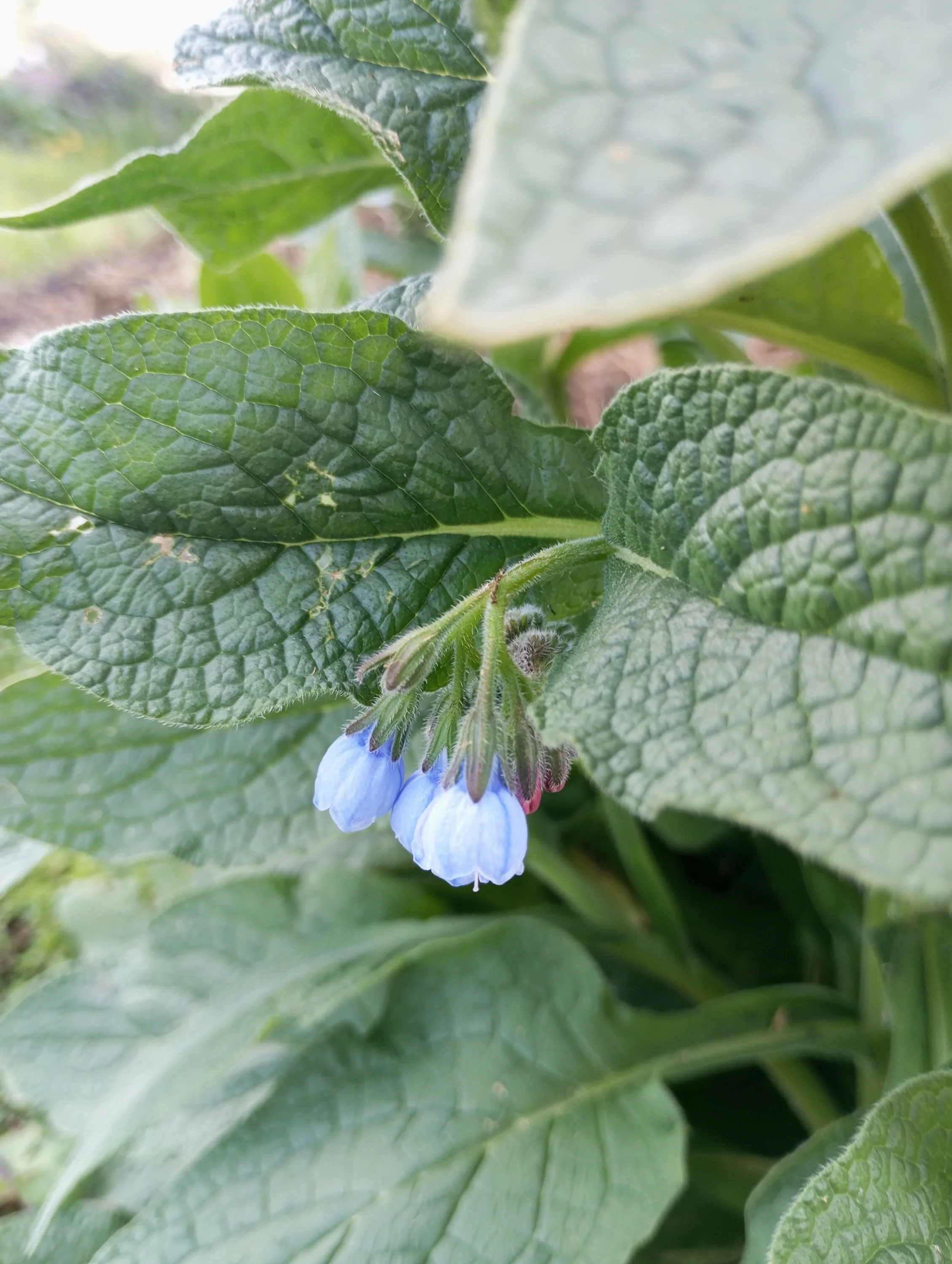 2024-05-18 15-23-08.webp