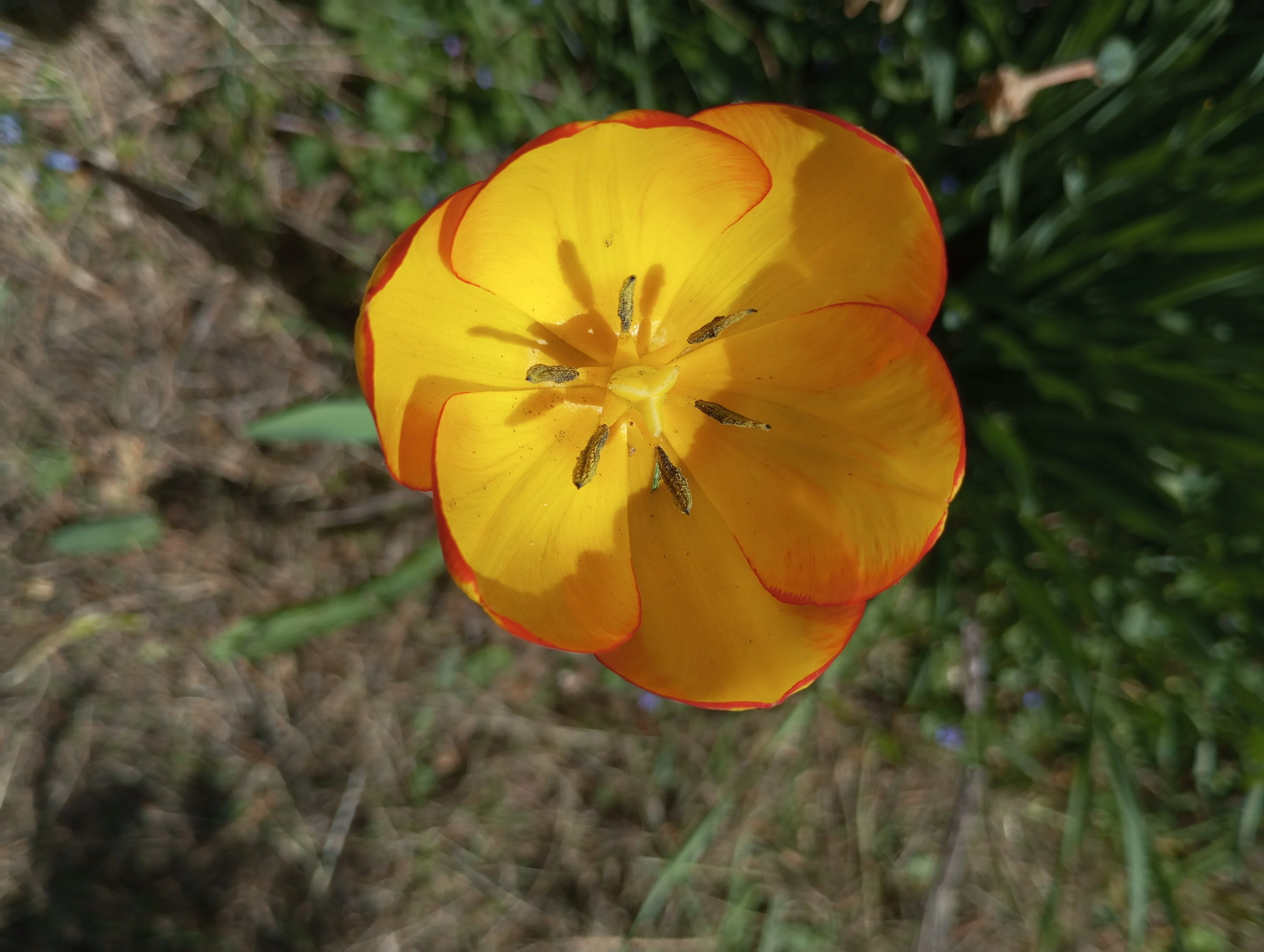 2024-05-19 11-38-31.webp