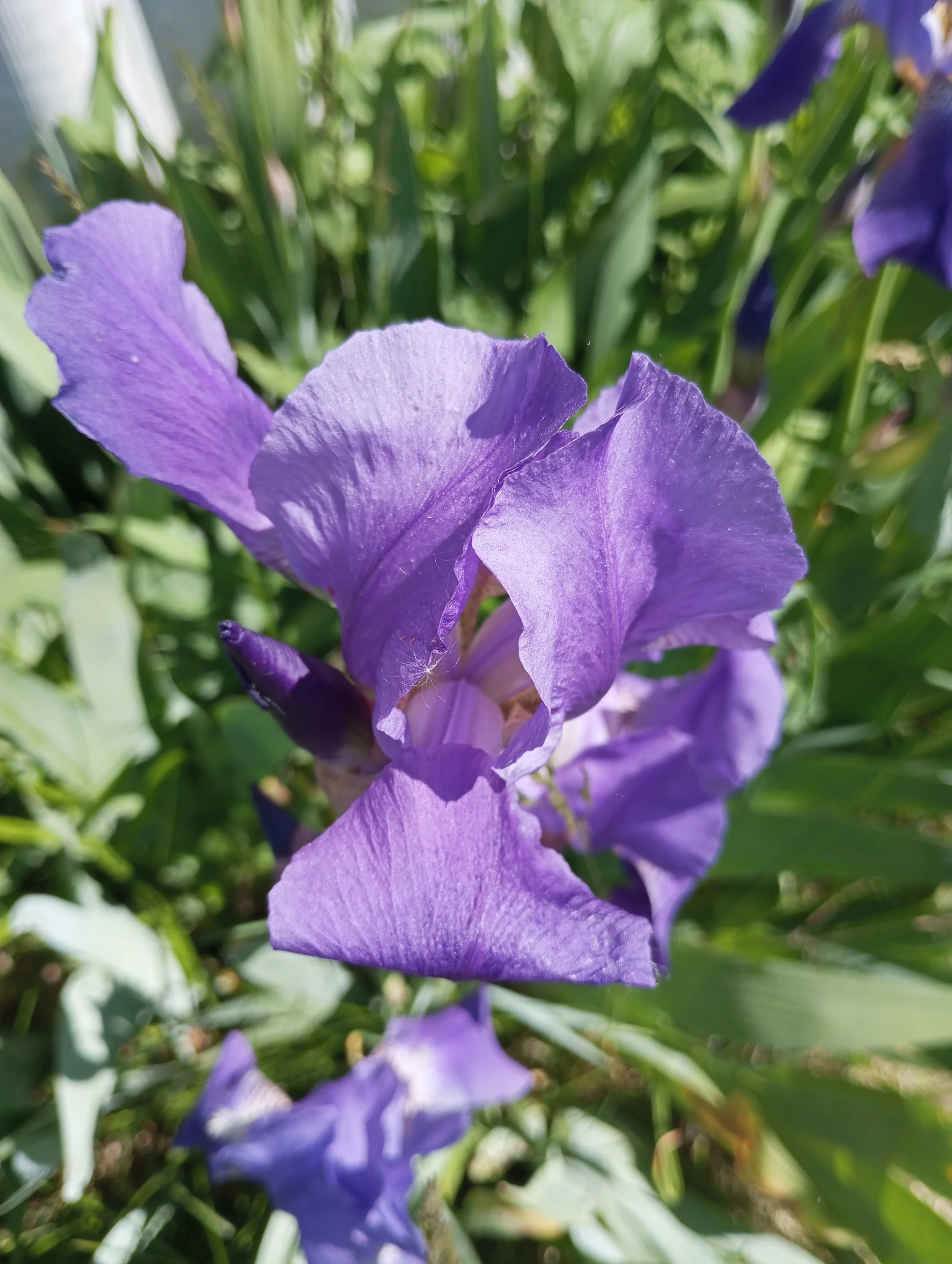 2024-05-19 11-38-43.webp