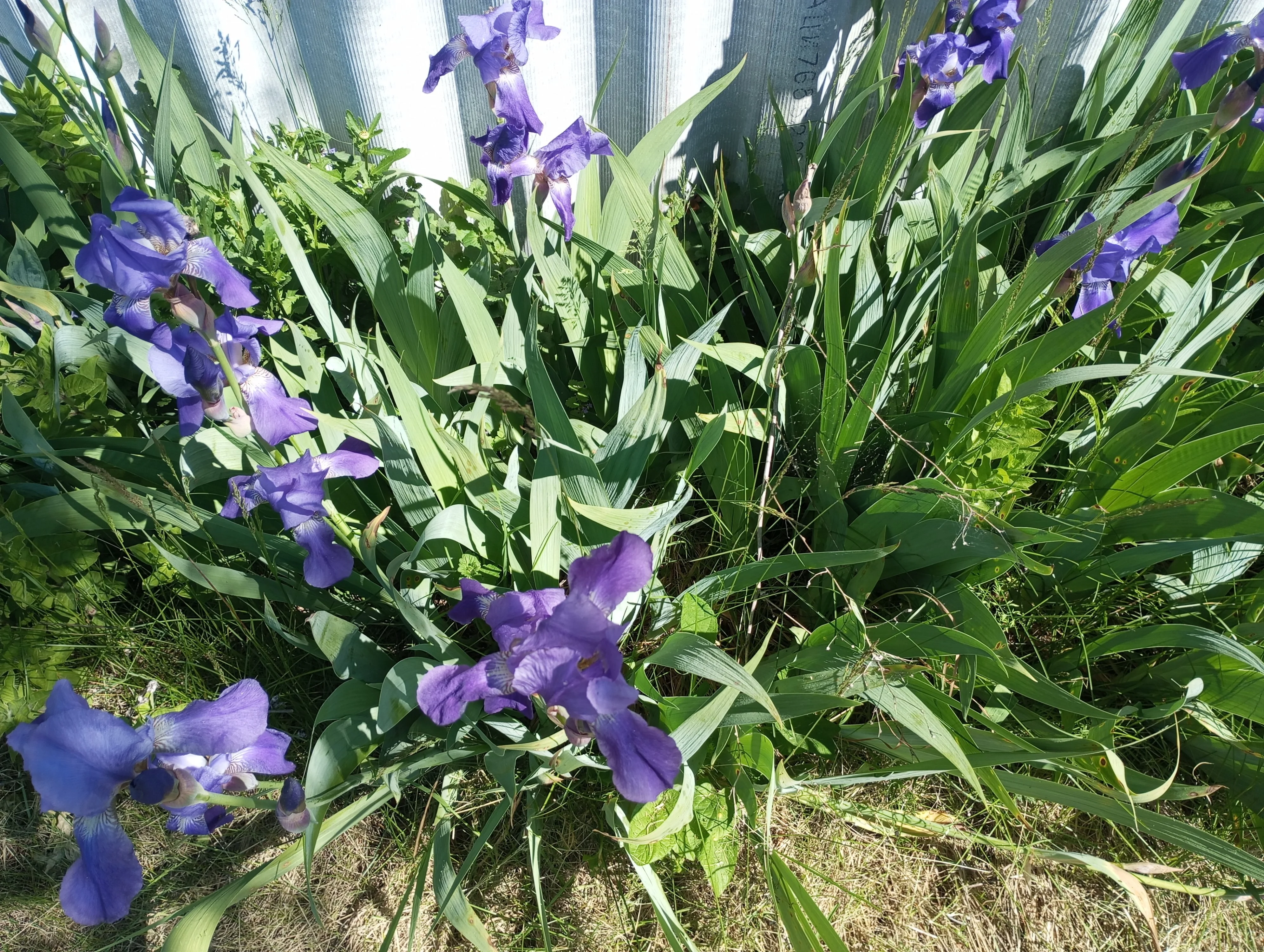 2024-05-19 11-38-47.webp