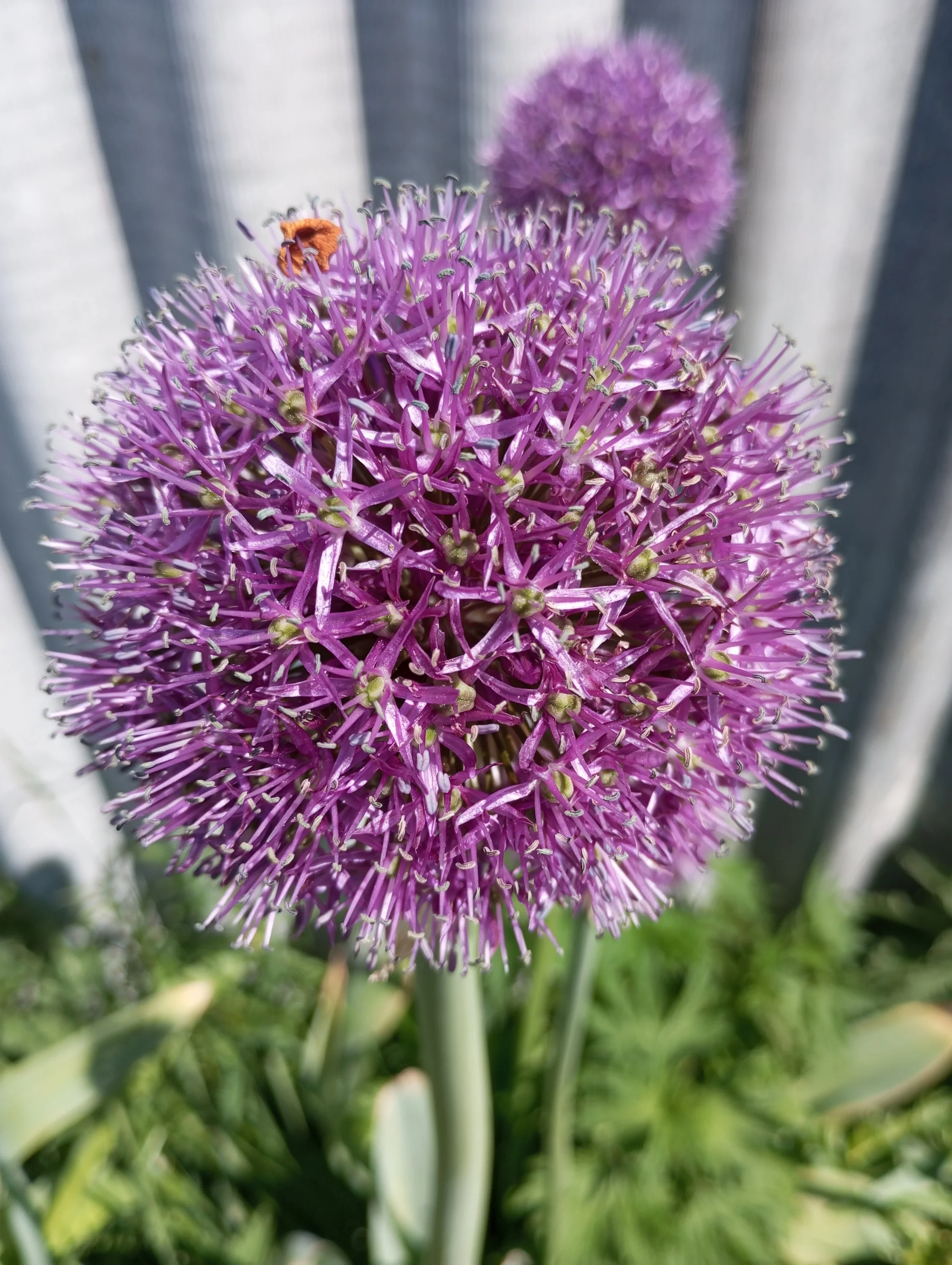 2024-05-19 11-39-07.webp