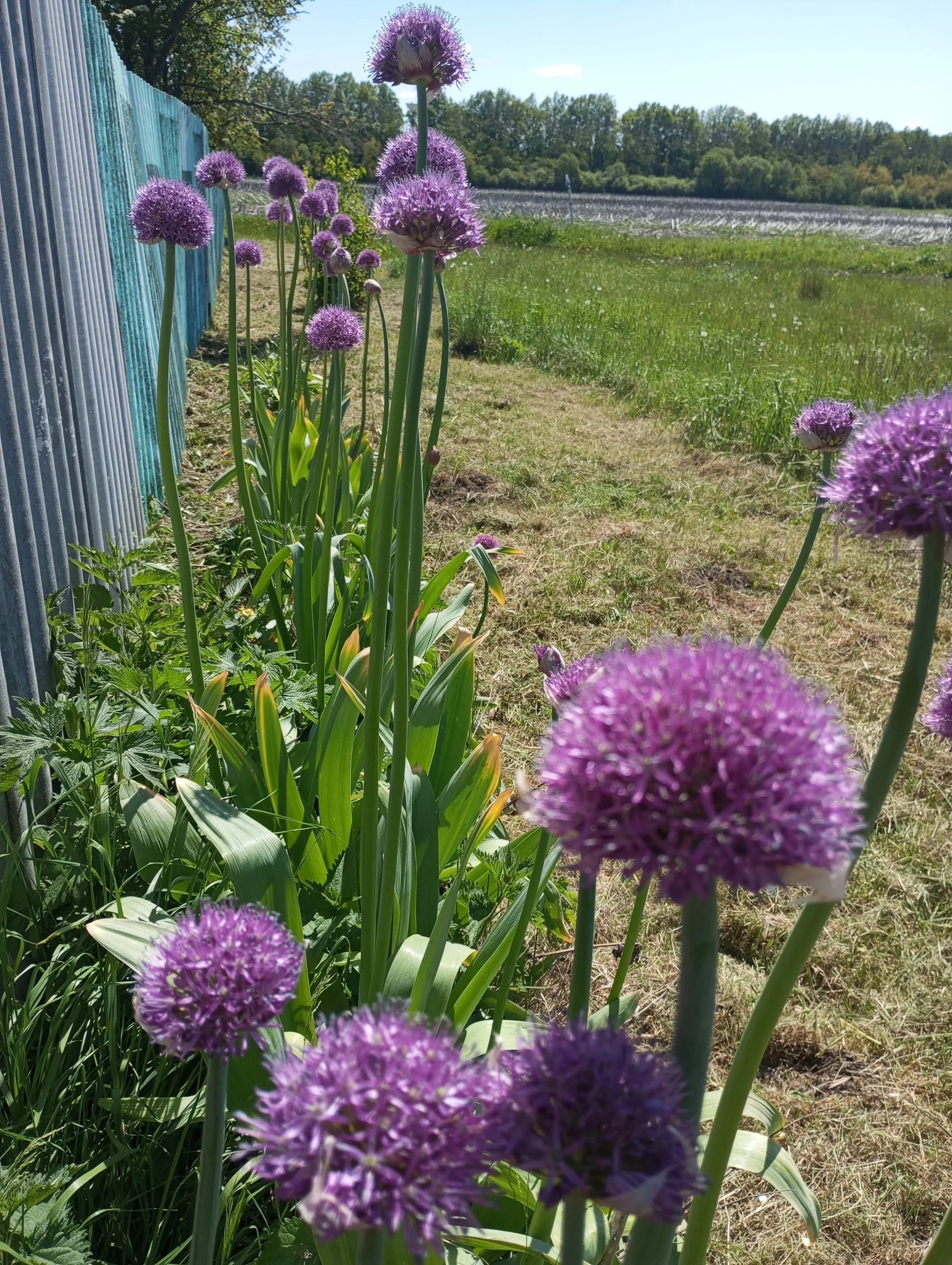 2024-05-19 11-39-21.webp