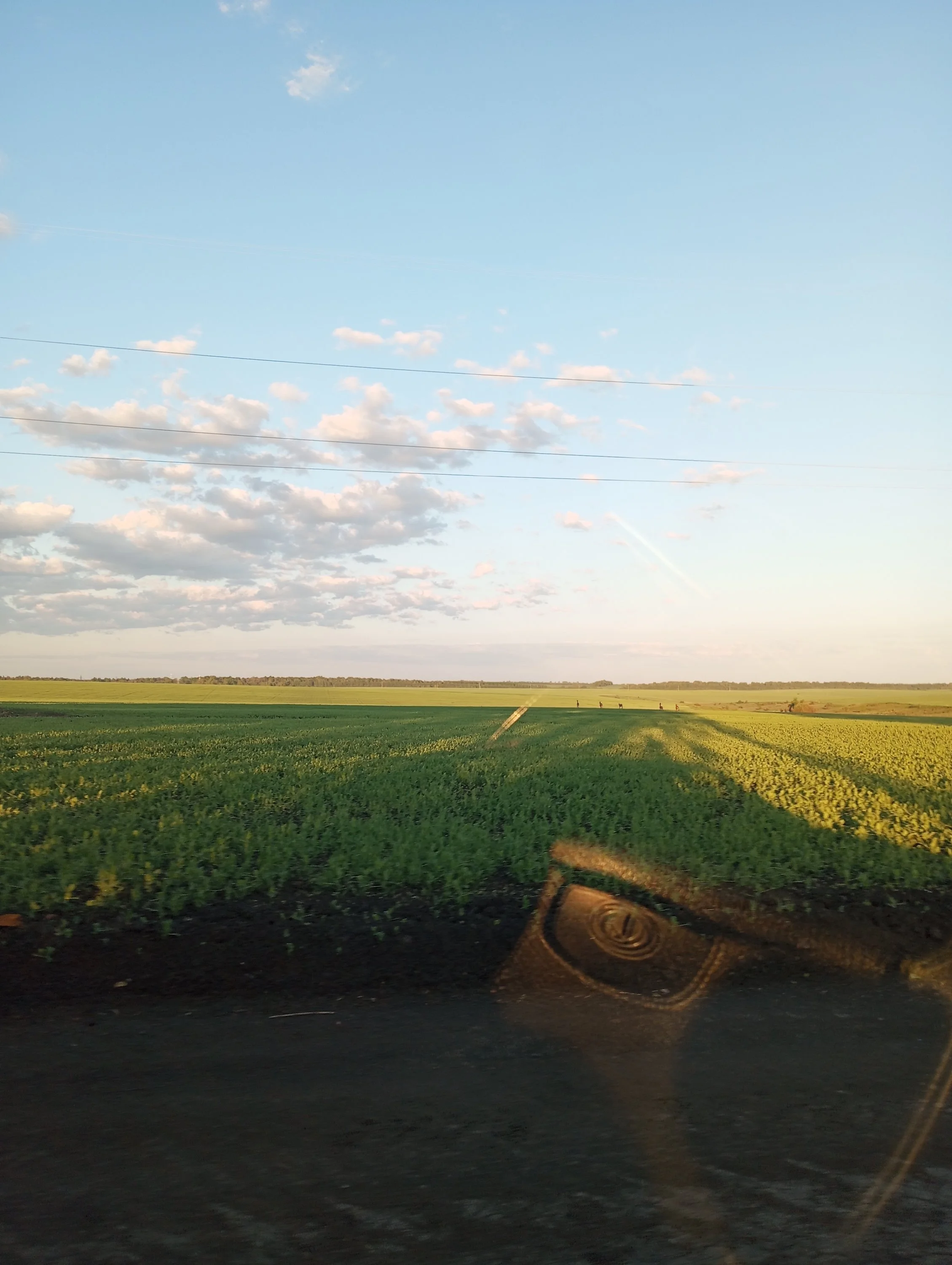 2024-05-21 05-03-07.webp