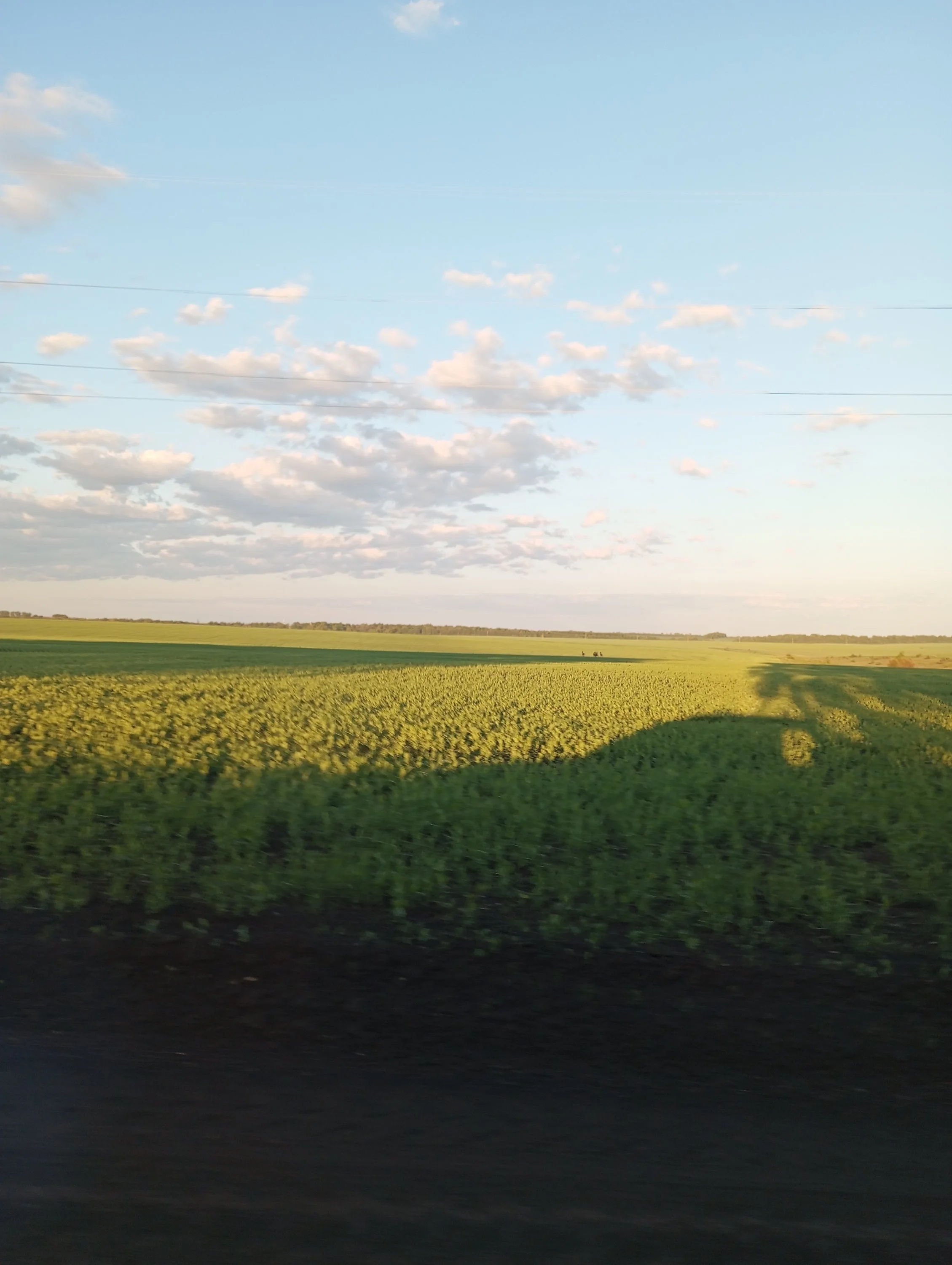 2024-05-21 05-03-13.webp