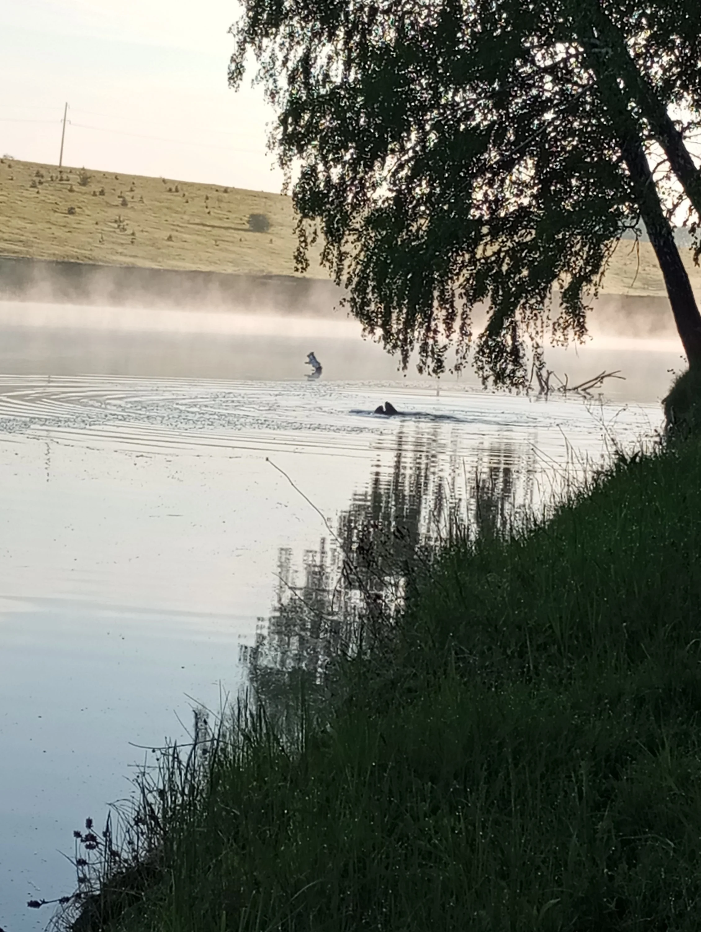 2024-05-21 05-38-04.webp