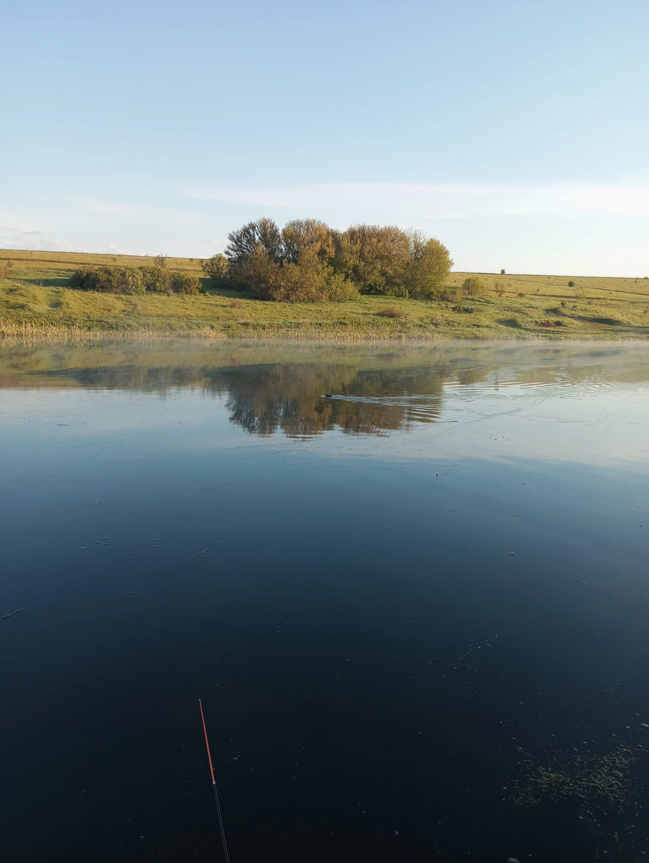 2024-05-21 05-42-02.webp