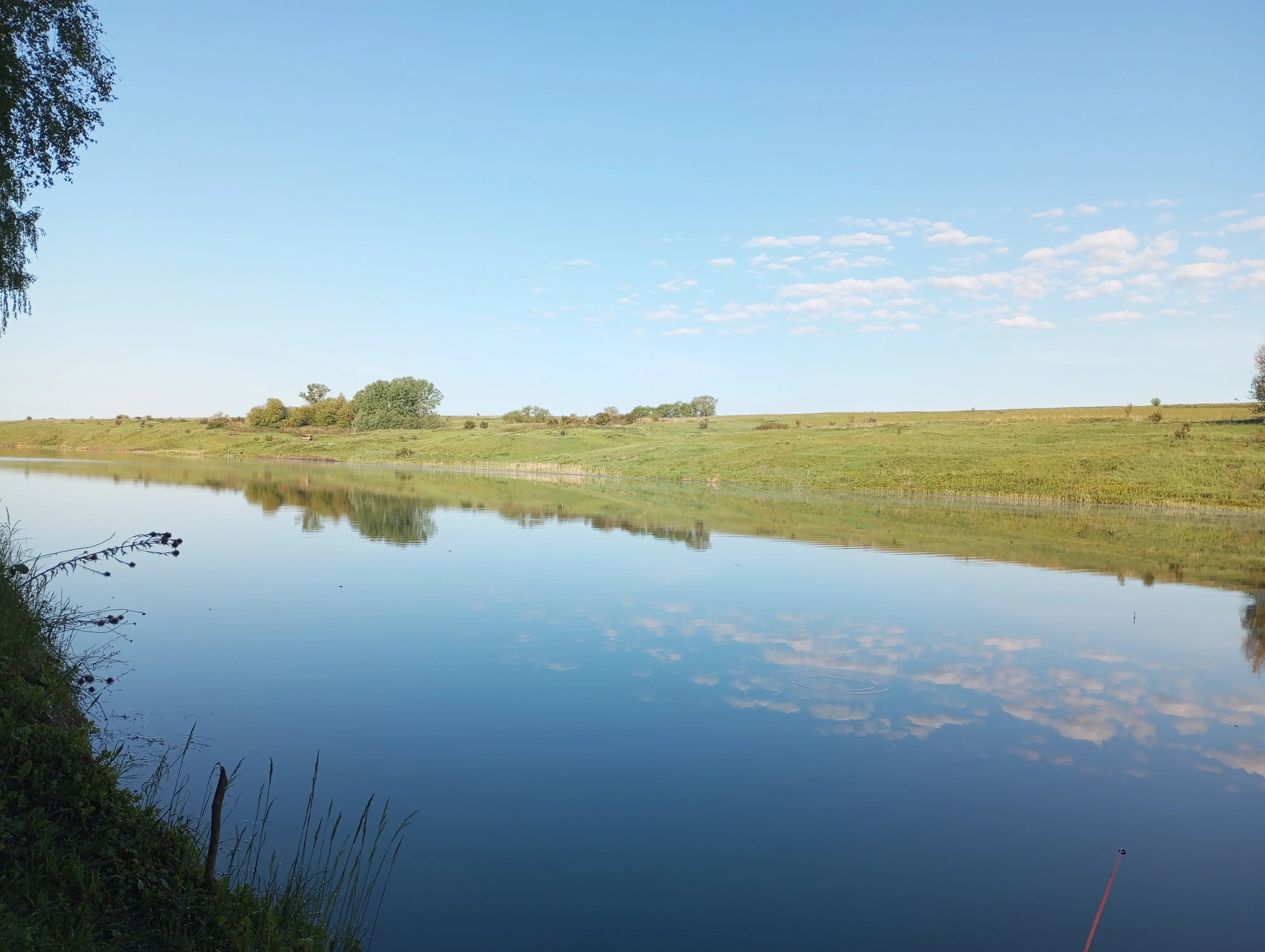 2024-05-21 07-02-55.webp