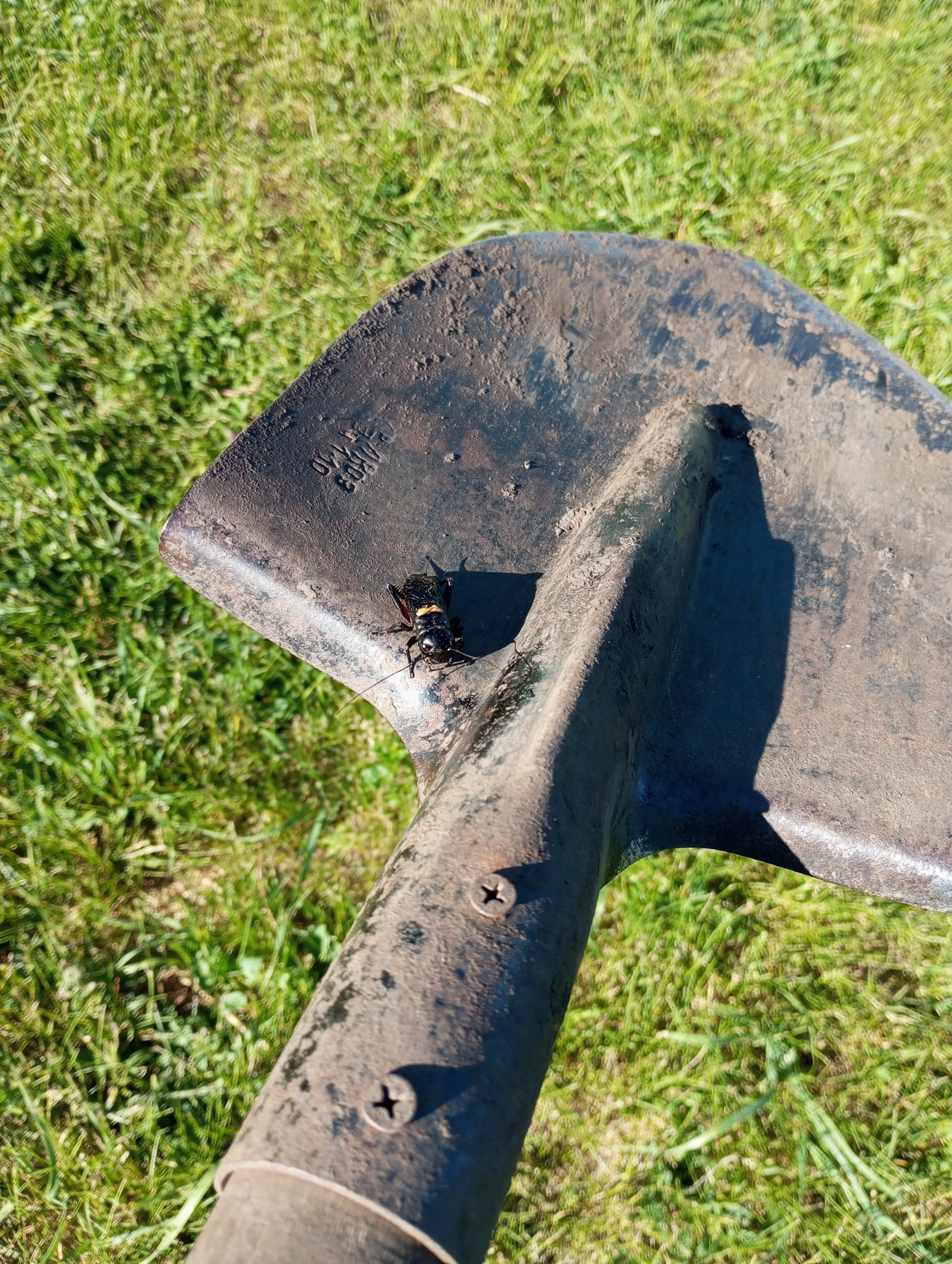 2024-05-23 16-51-49.webp