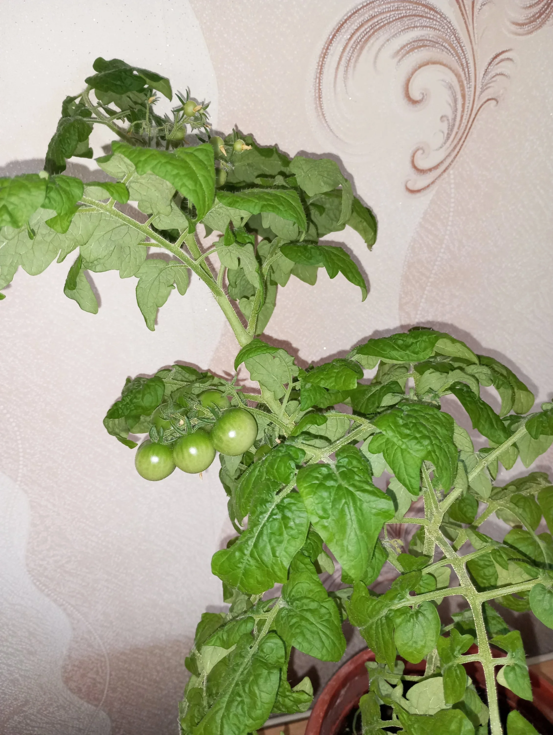 2024-05-23 17-54-29.webp