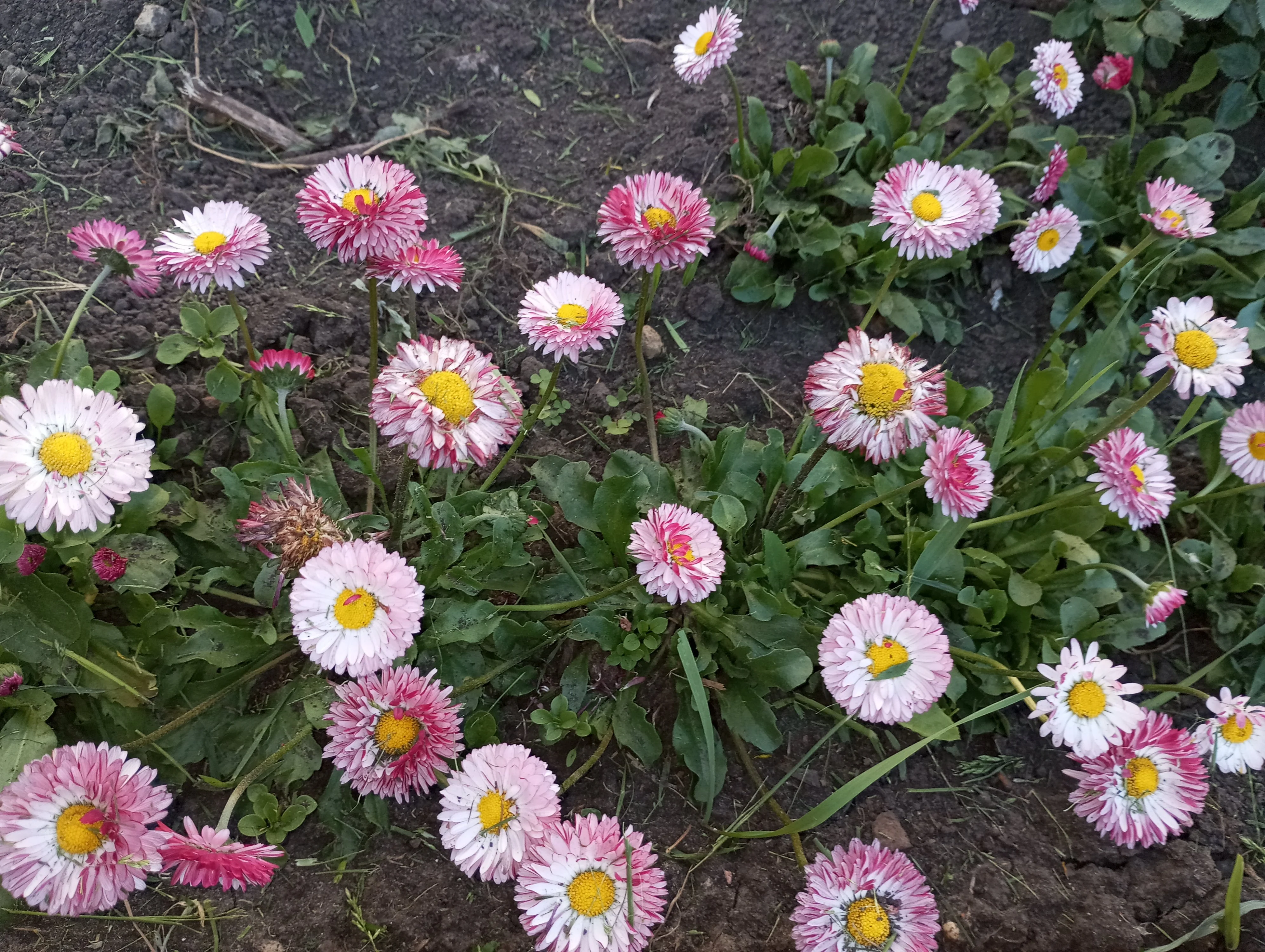 2024-05-24 18-29-42.webp