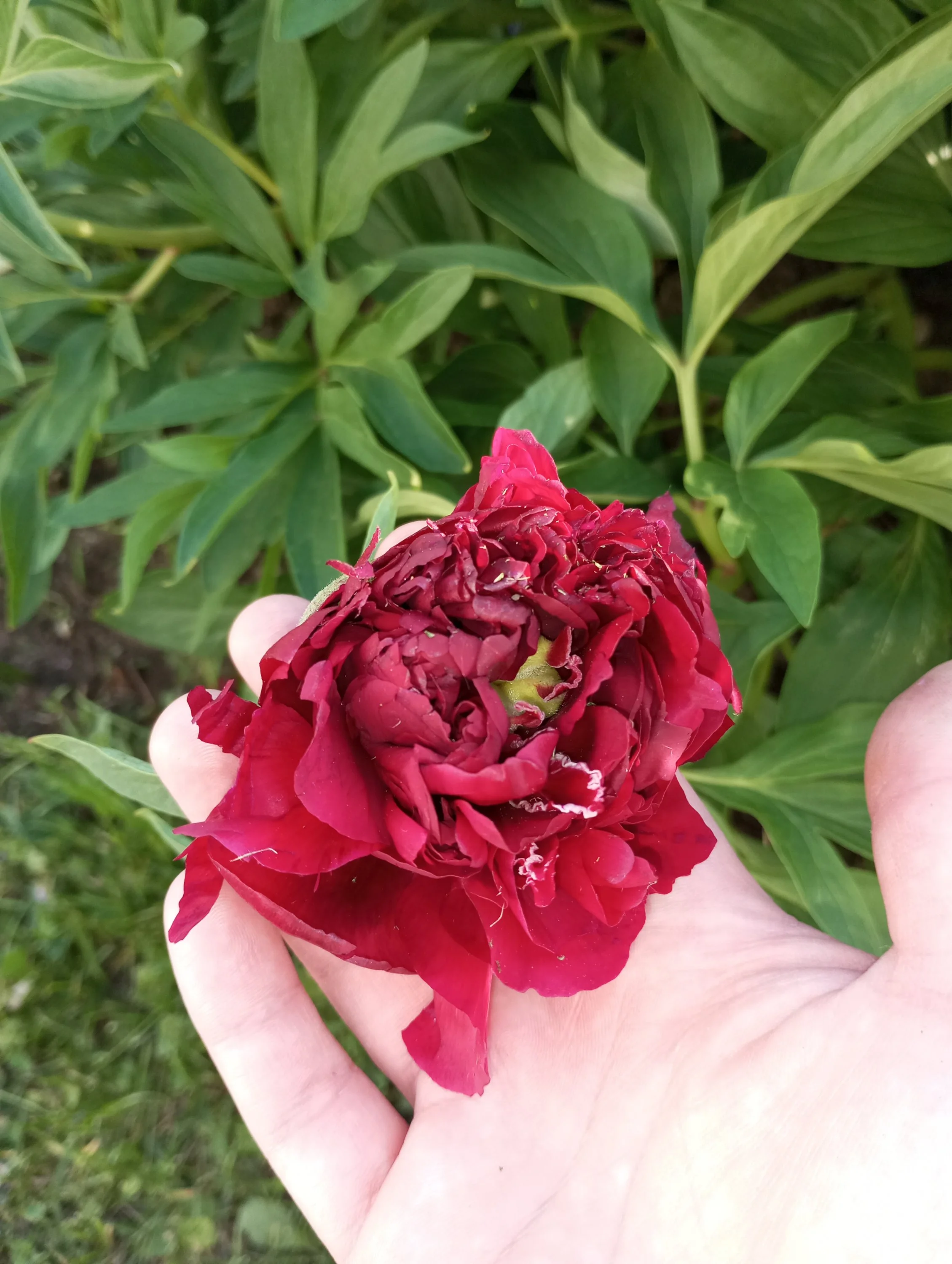 2024-05-24 18-30-13.webp