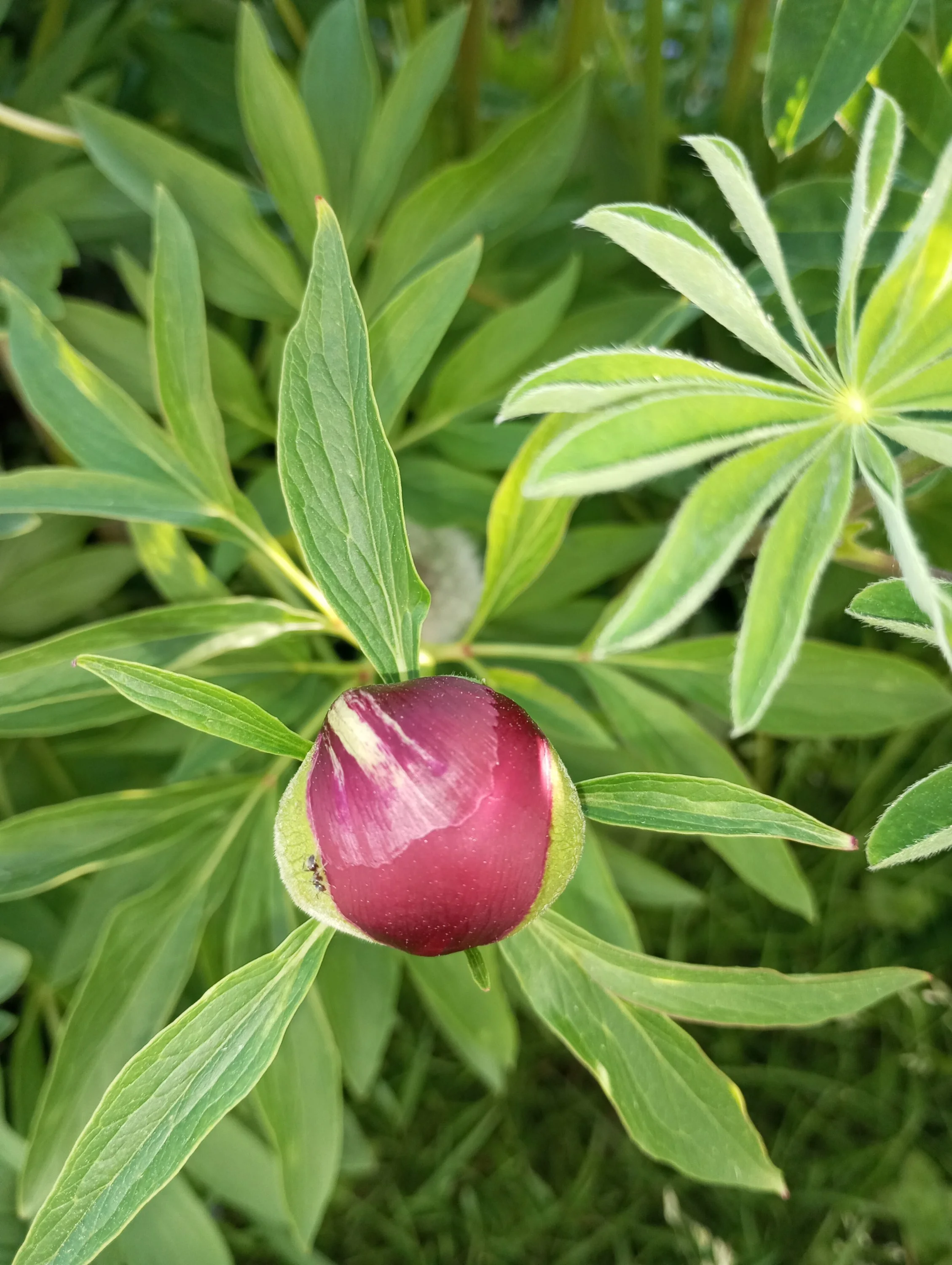 2024-05-24 18-30-20.webp