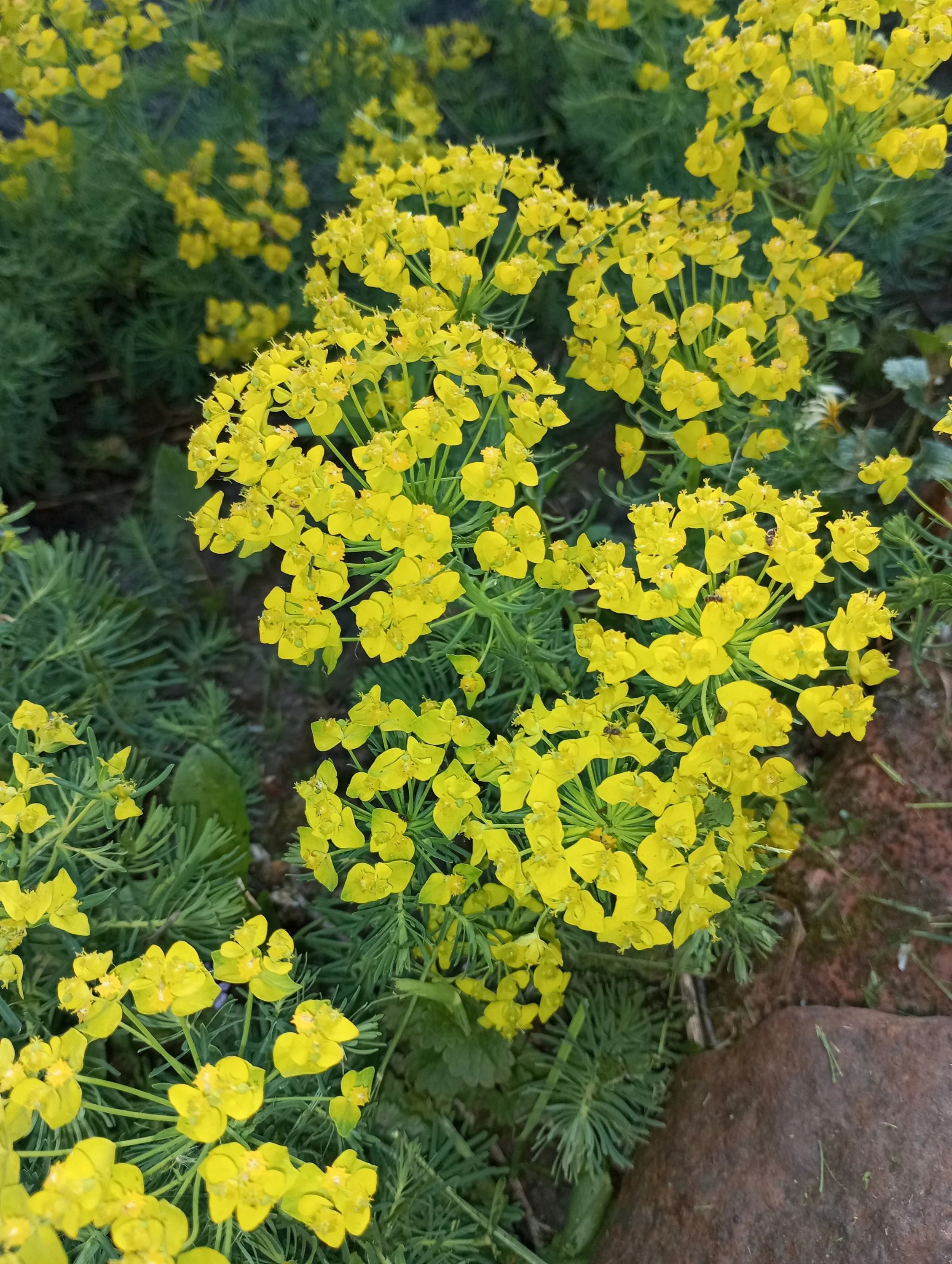 2024-05-24 18-30-58.webp