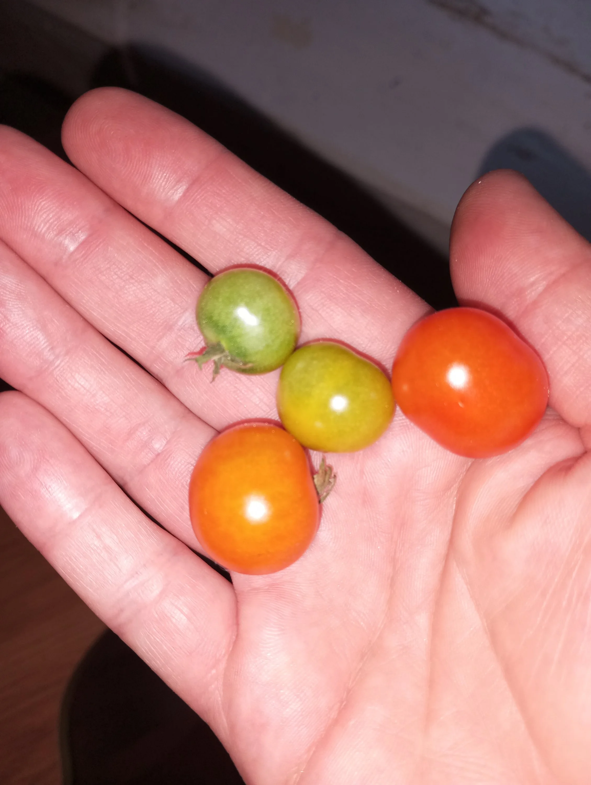 2024-05-26 20-23-39.webp