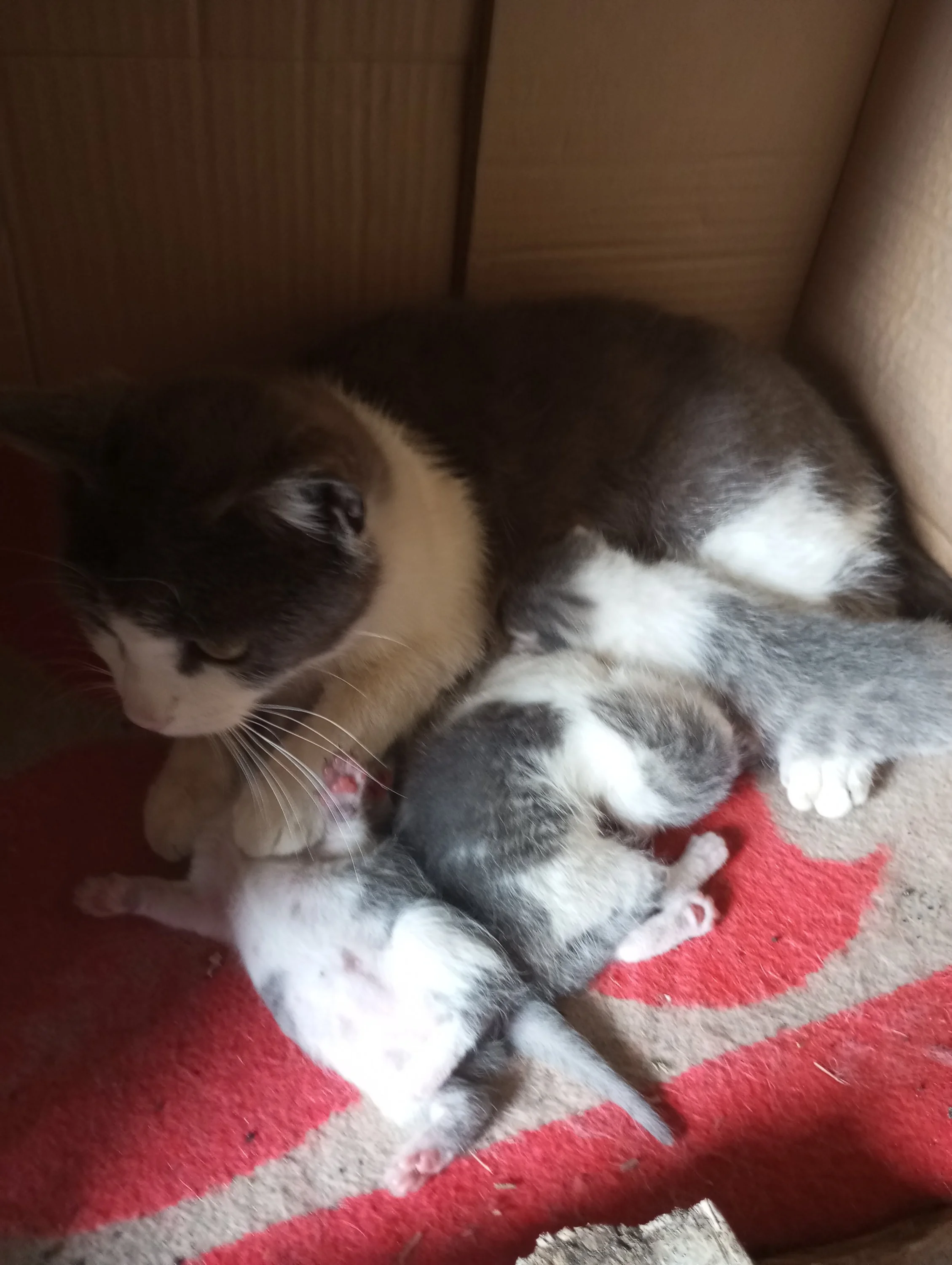 2024-05-27 14-26-01.webp