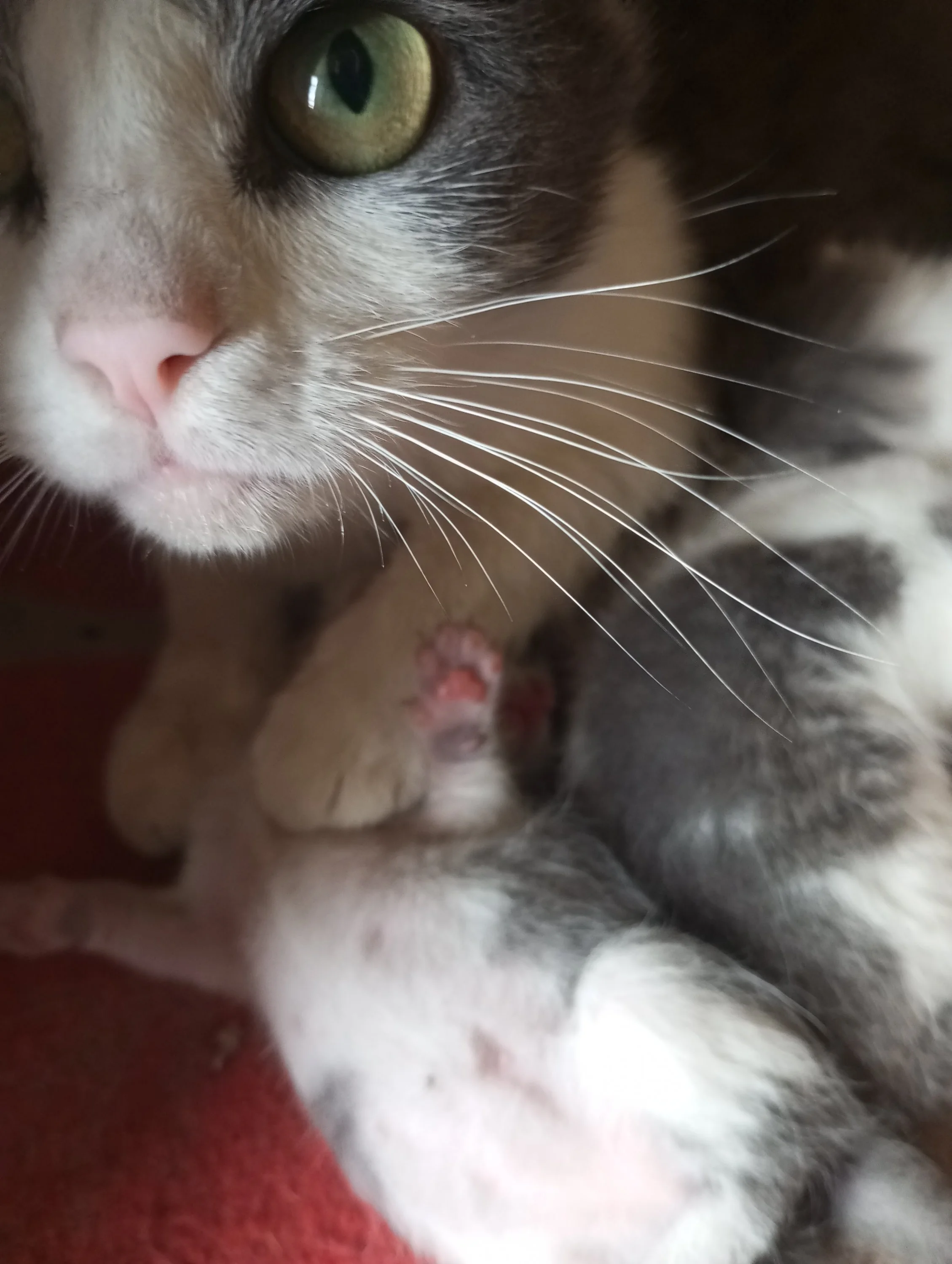 2024-05-27 14-26-05.webp