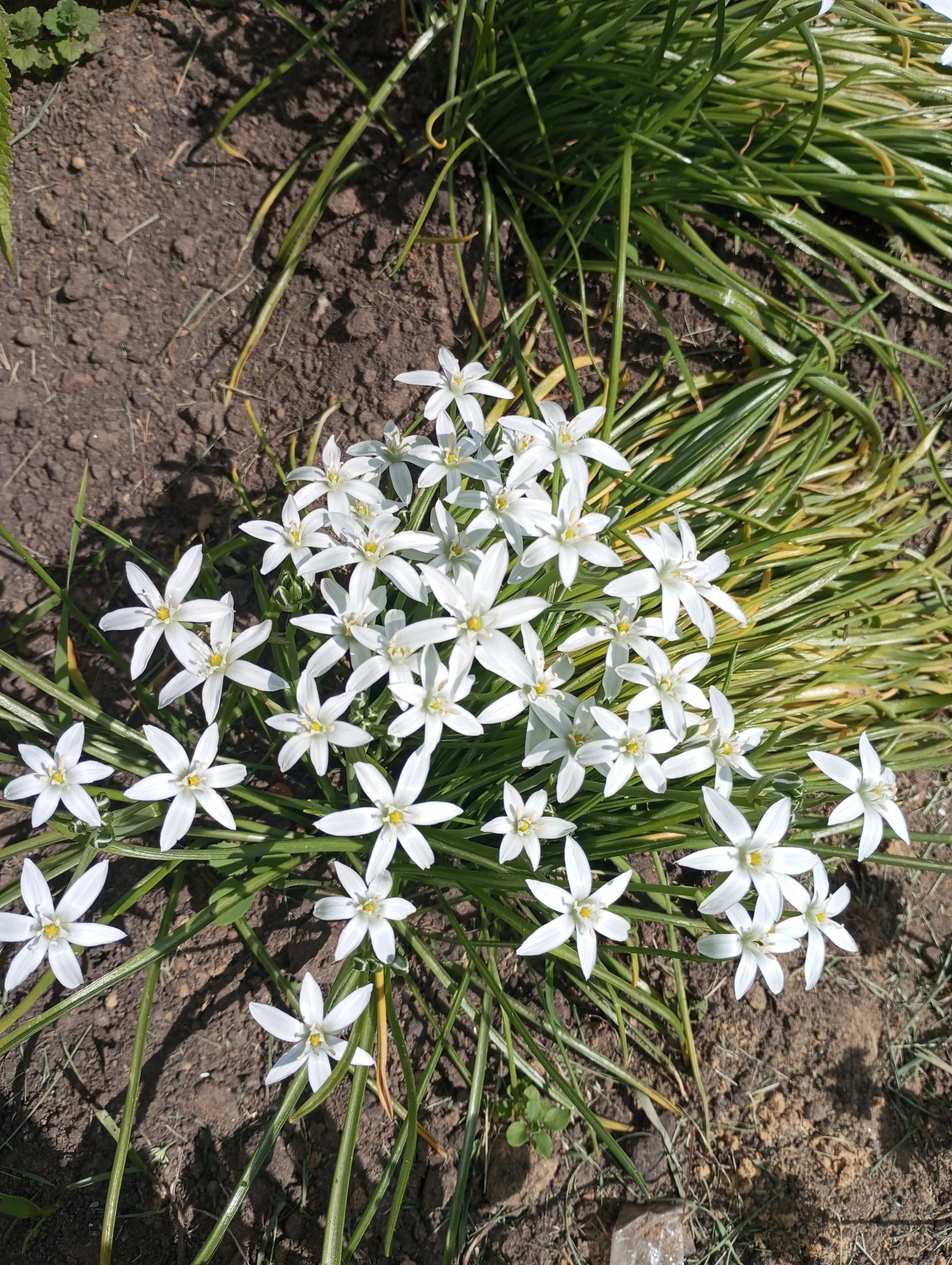 2024-05-27 14-27-18.webp