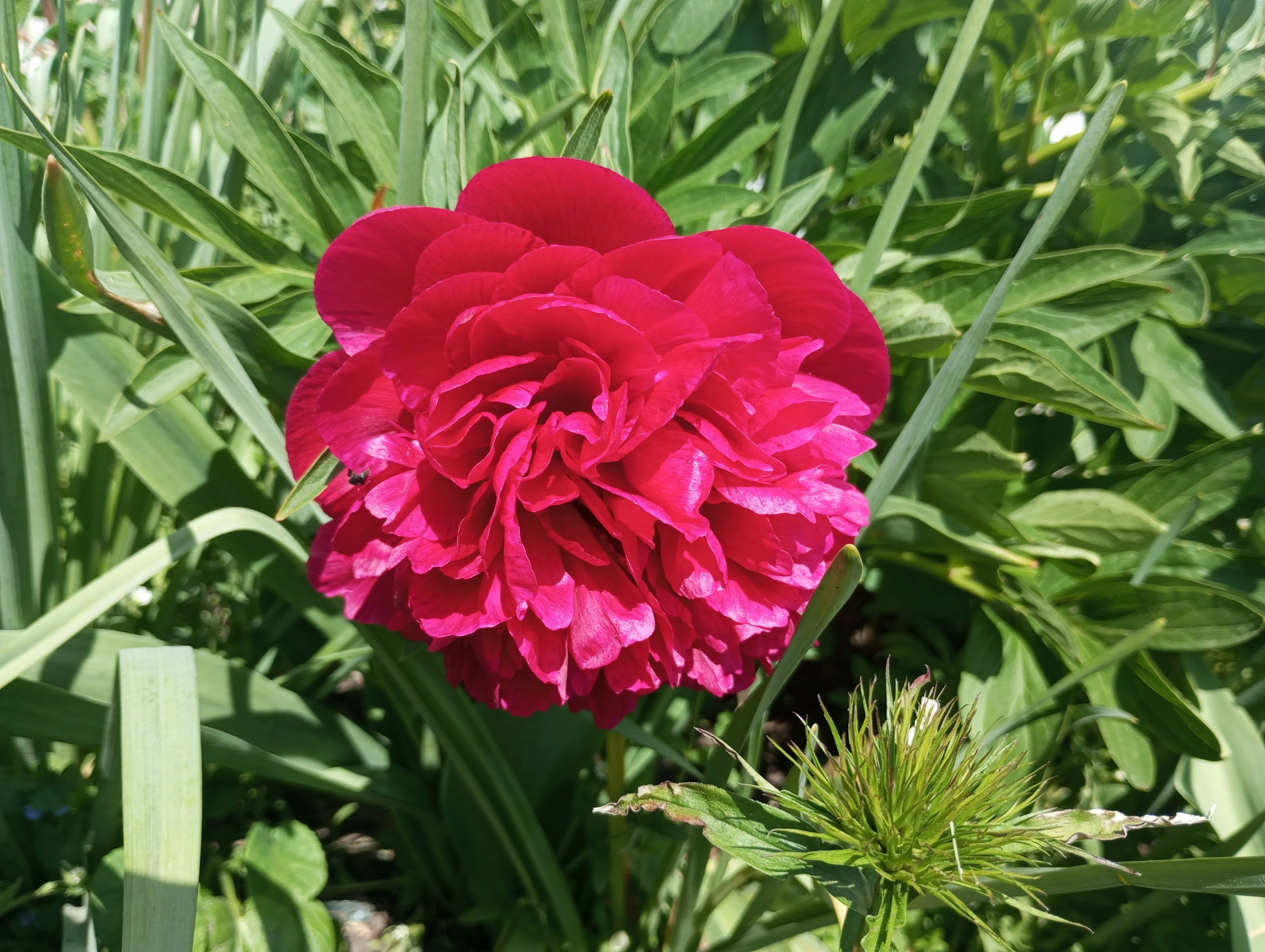 2024-05-27 14-27-27.webp