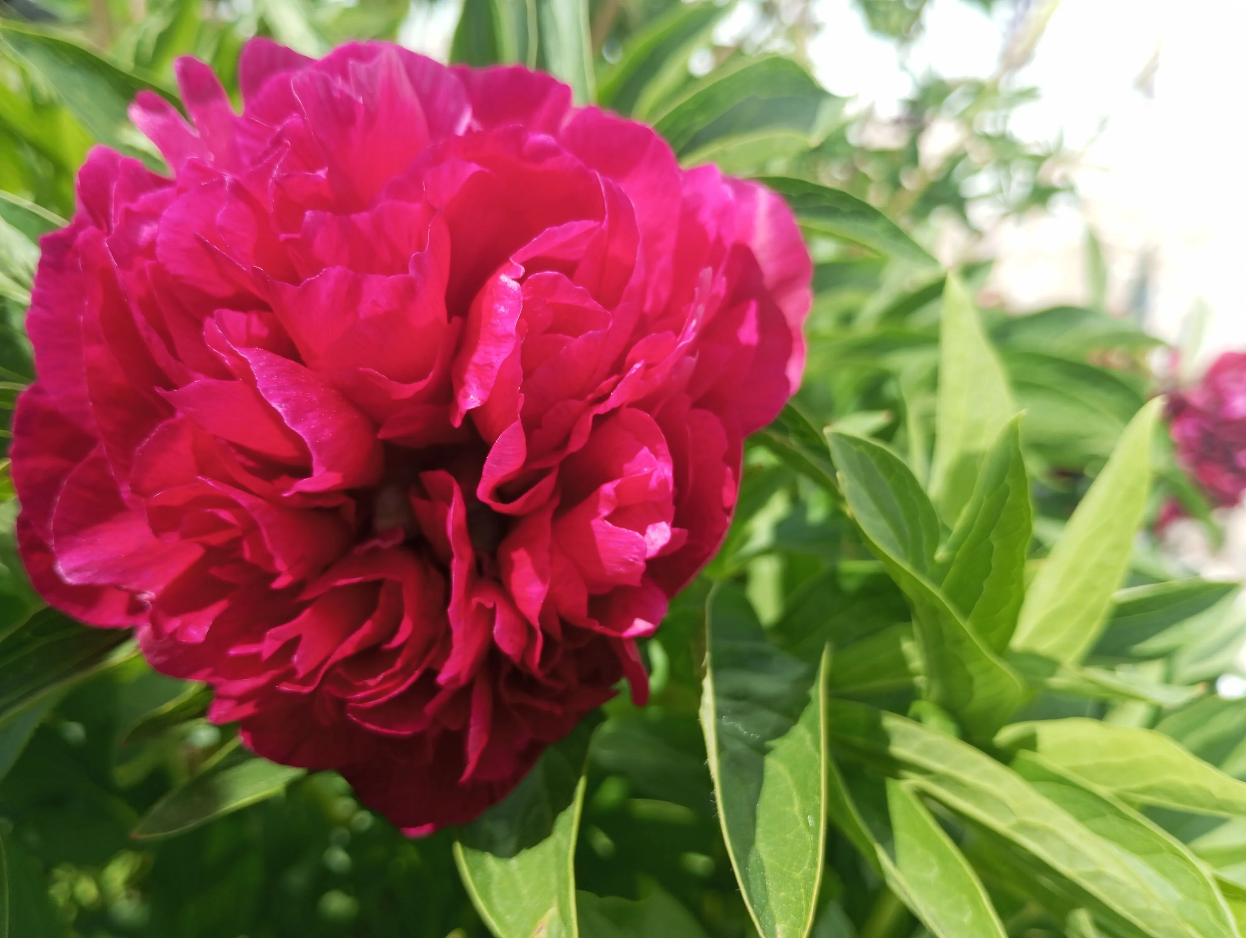 2024-05-27 14-27-37.webp