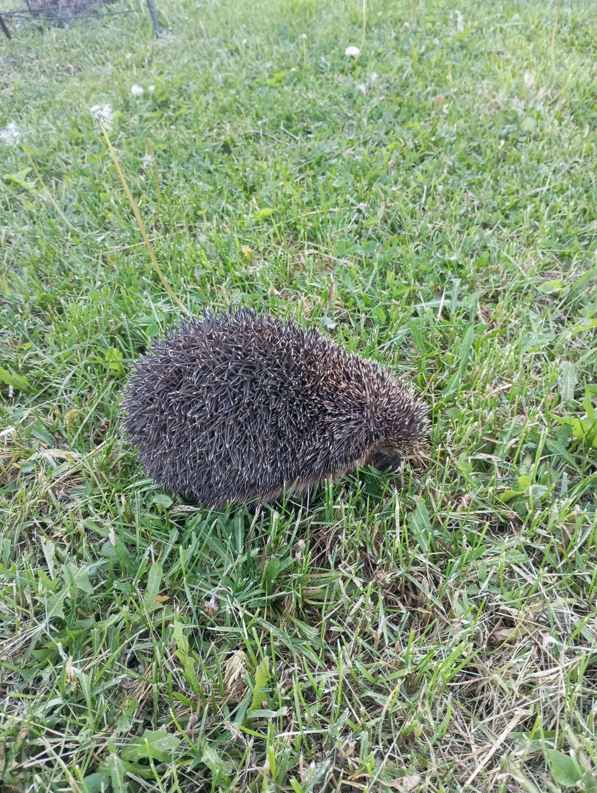 2024-05-27 18-19-02.webp