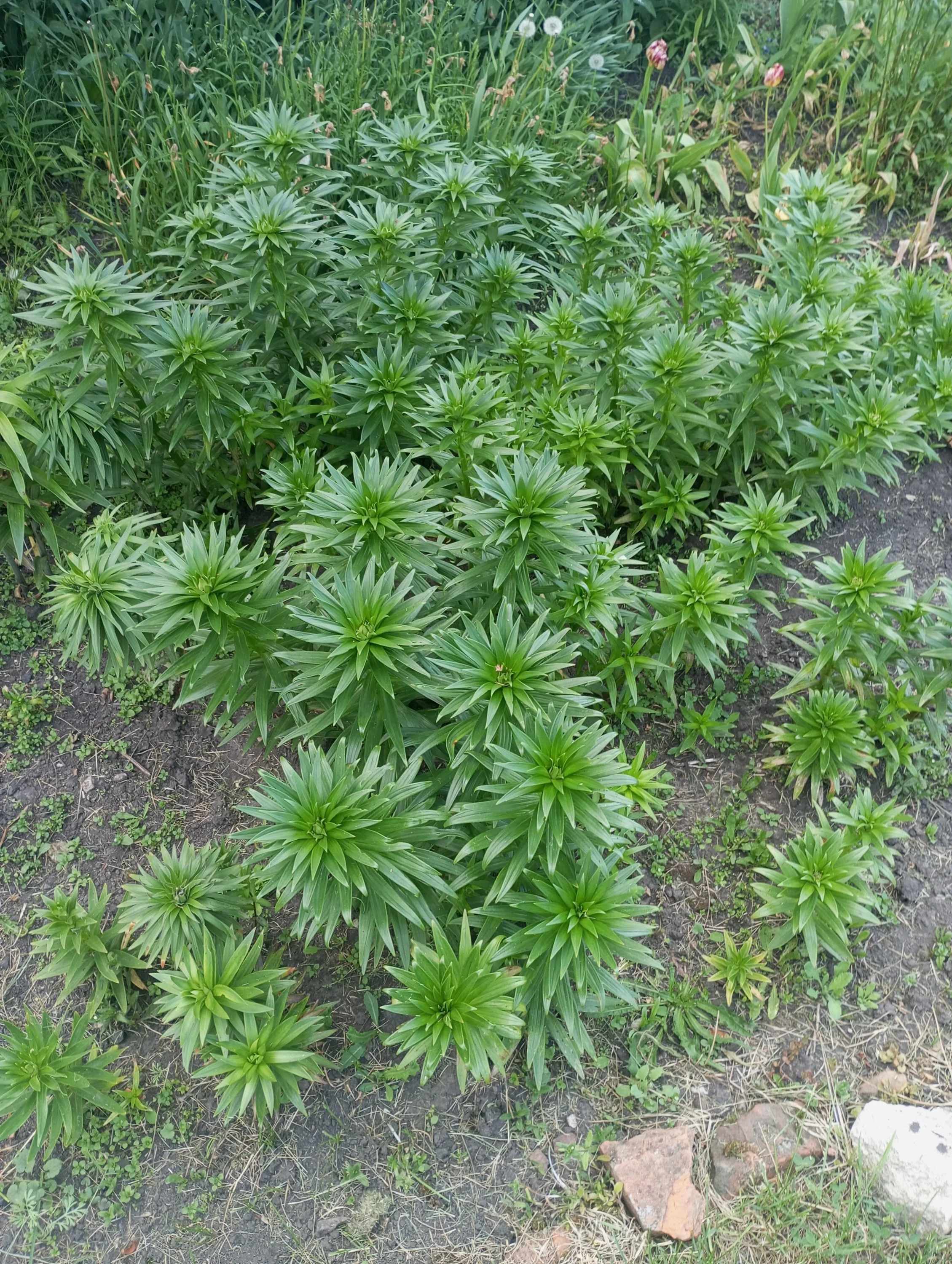 2024-05-28 15-11-58.webp