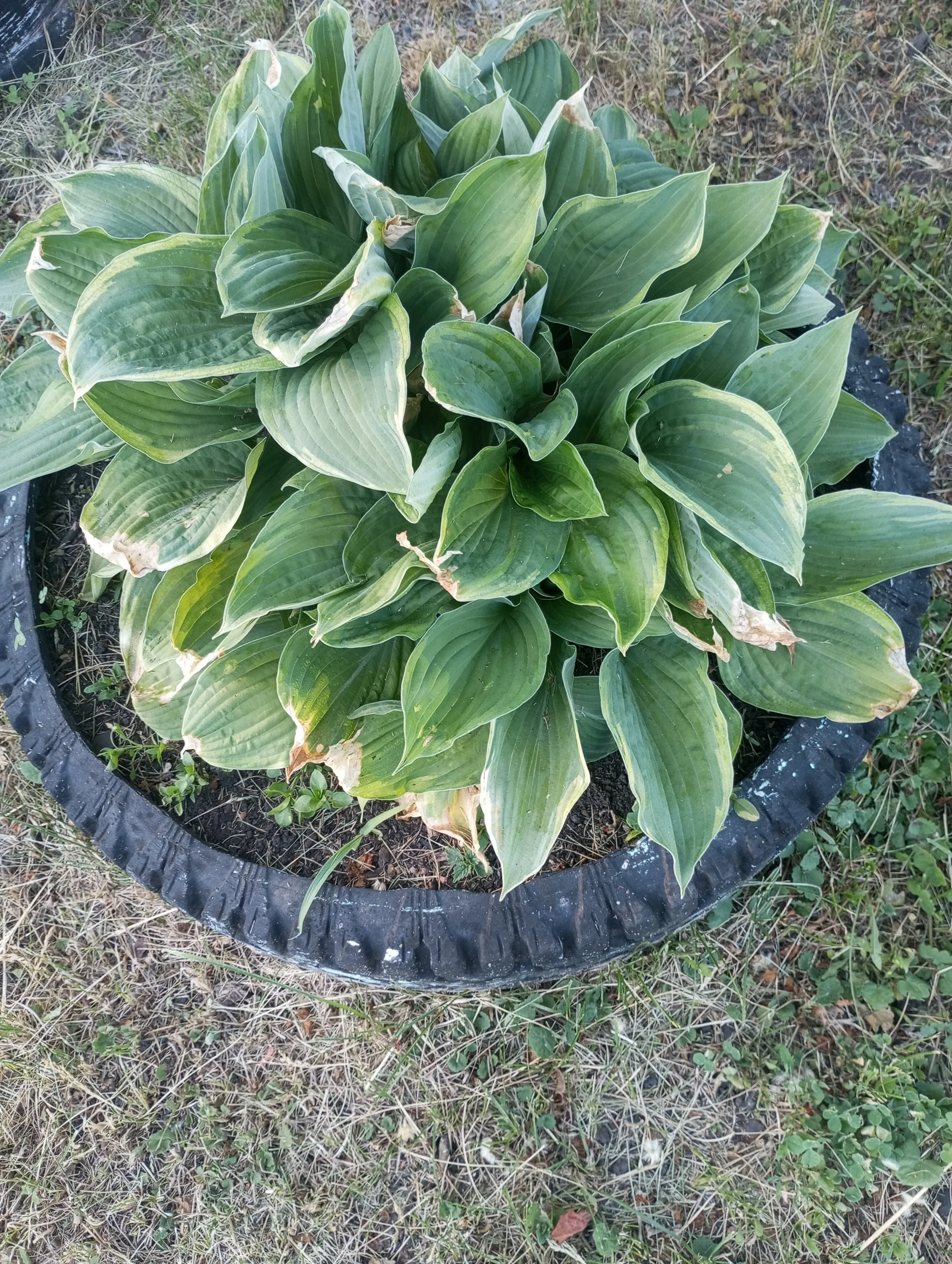 2024-05-29 18-51-05.webp