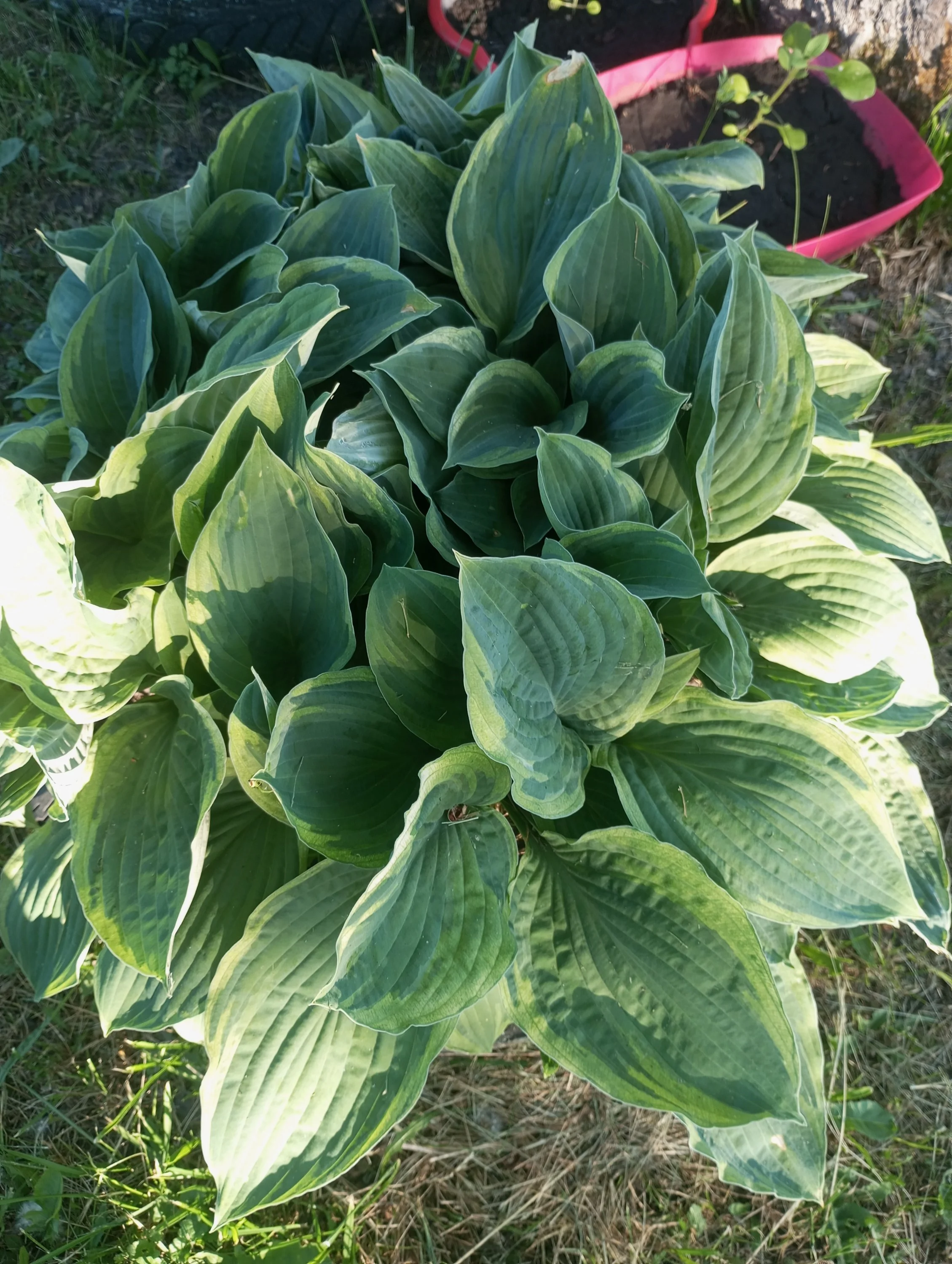 2024-05-29 18-51-12.webp