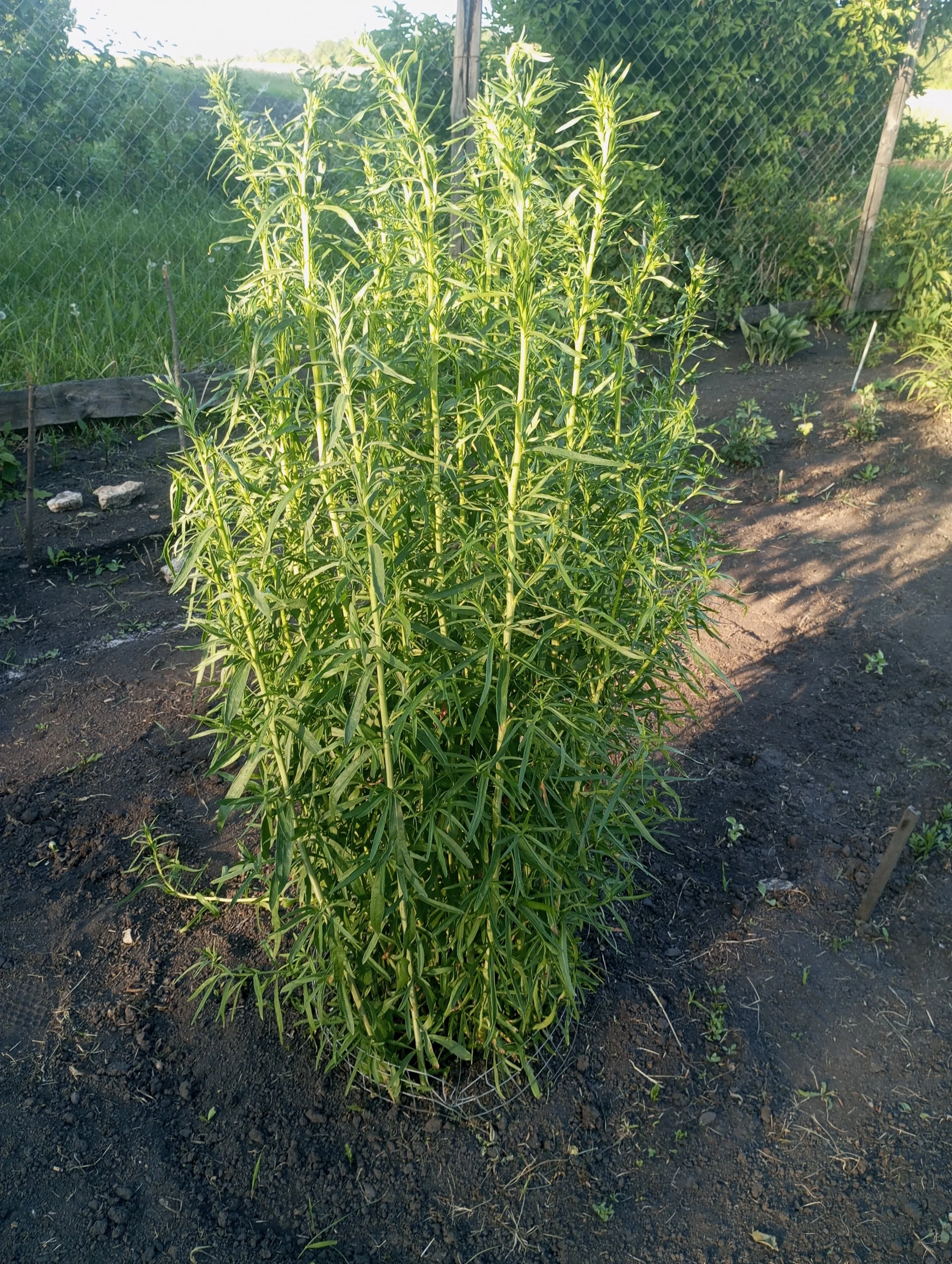 2024-05-29 18-51-28.webp