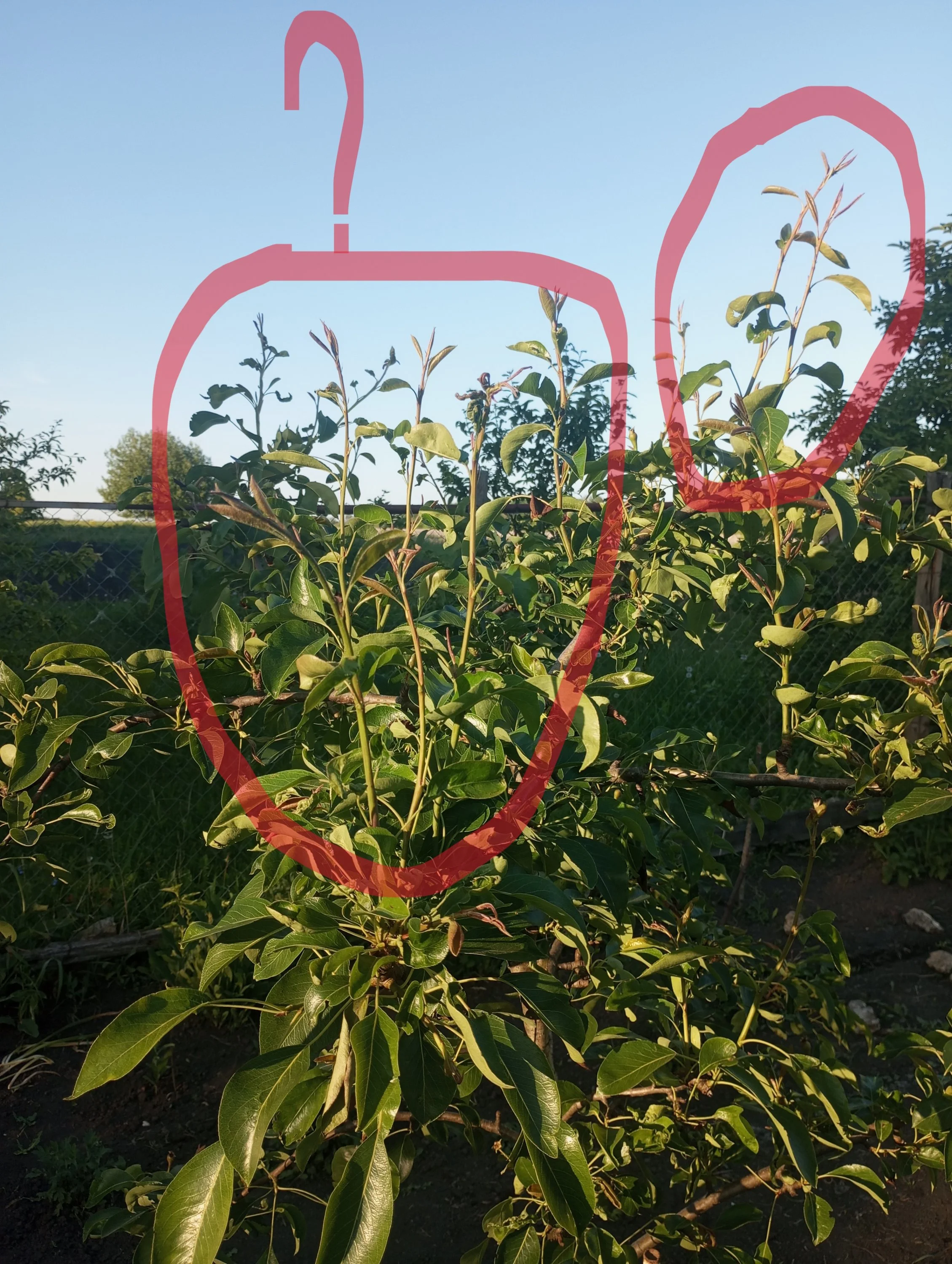 2024-05-29 18-51-43.webp