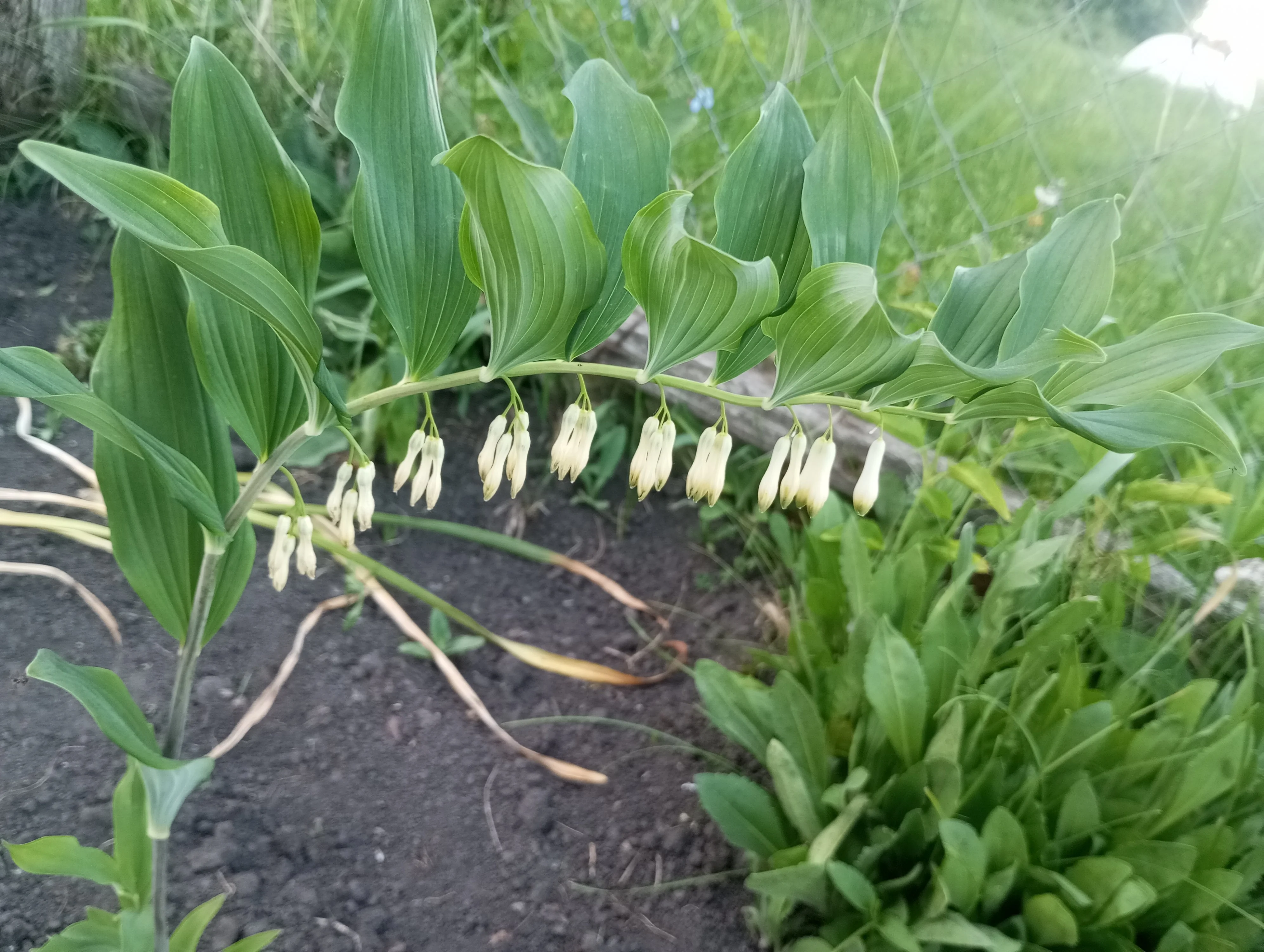 2024-05-29 20-19-37.webp