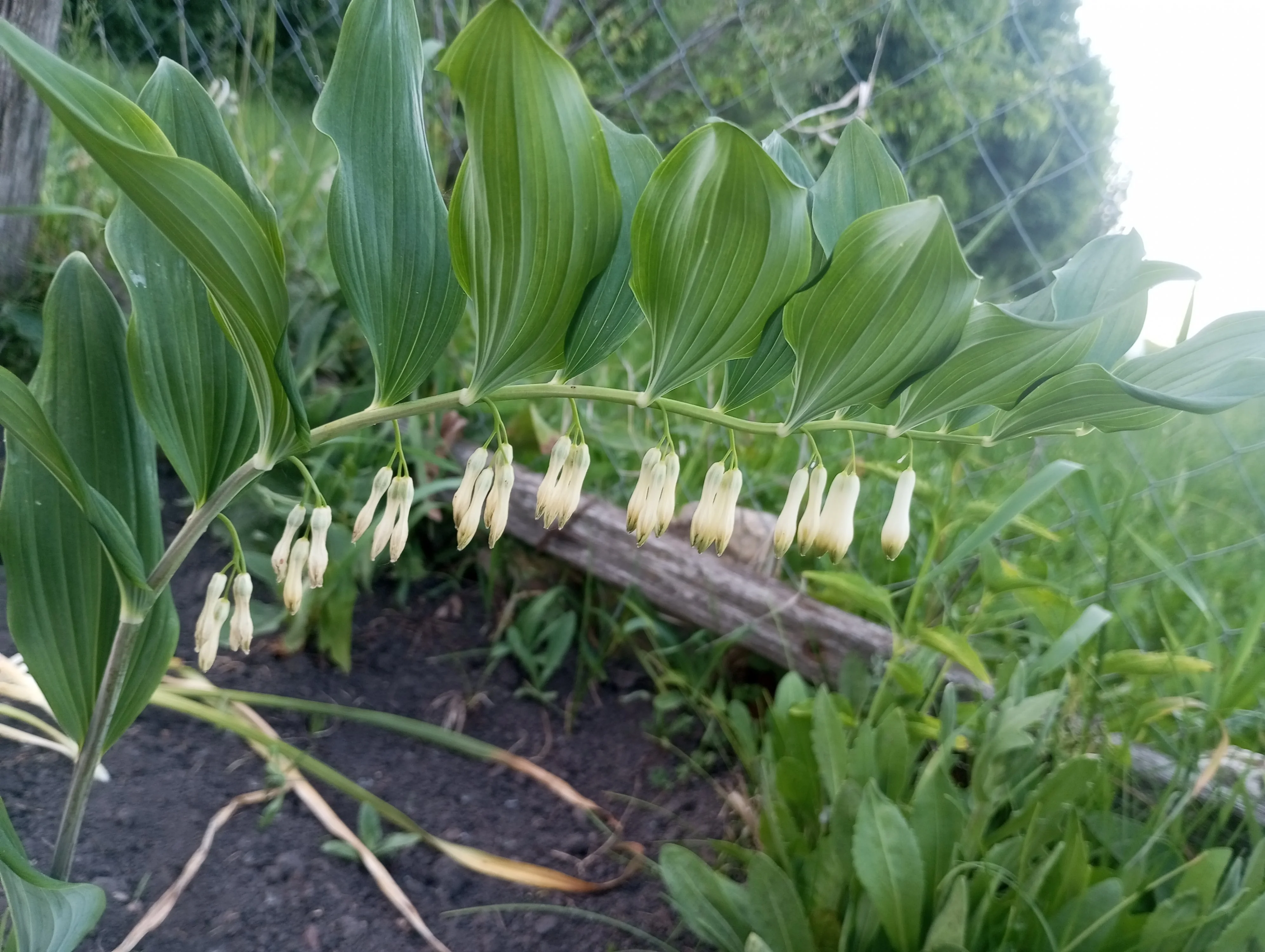 2024-05-29 20-19-41.webp