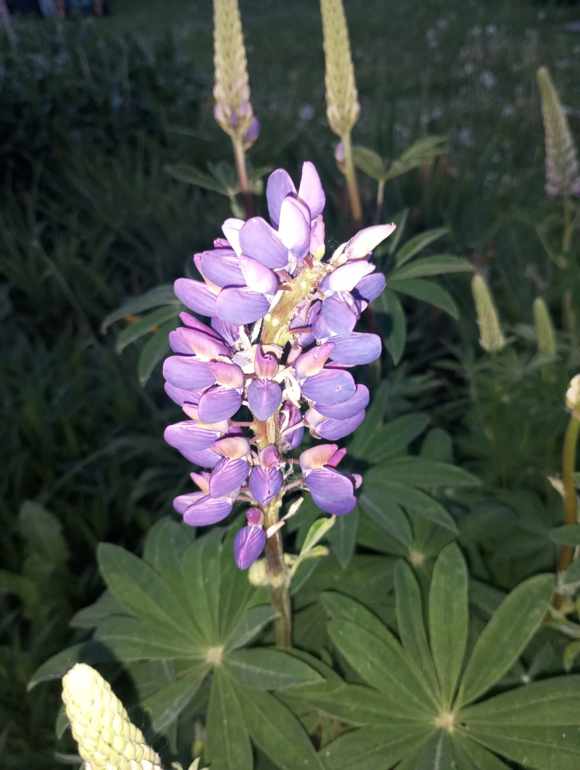 2024-05-29 20-47-38.webp