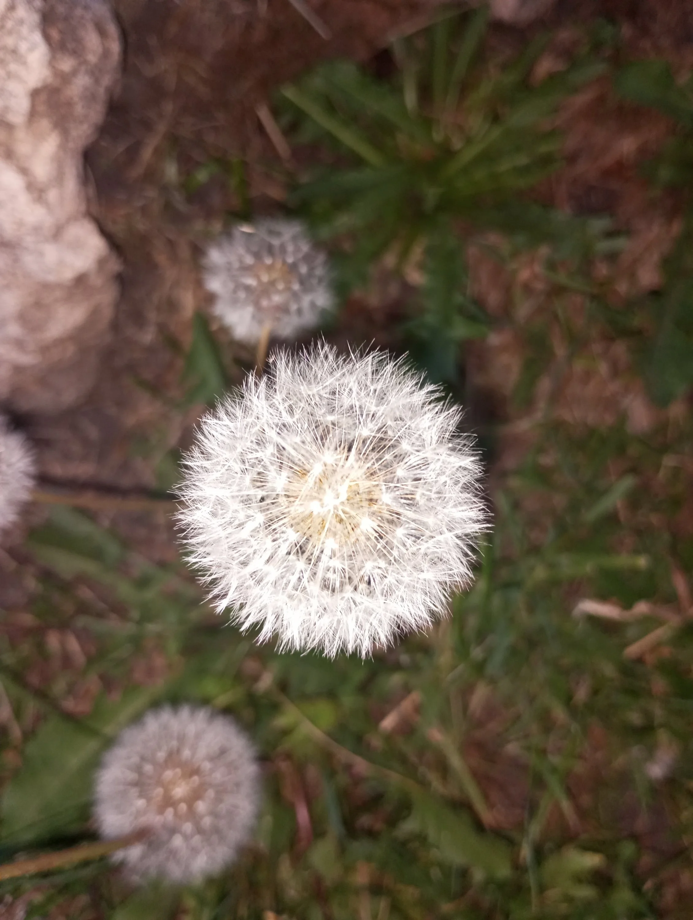 2024-05-29 20-48-54.webp