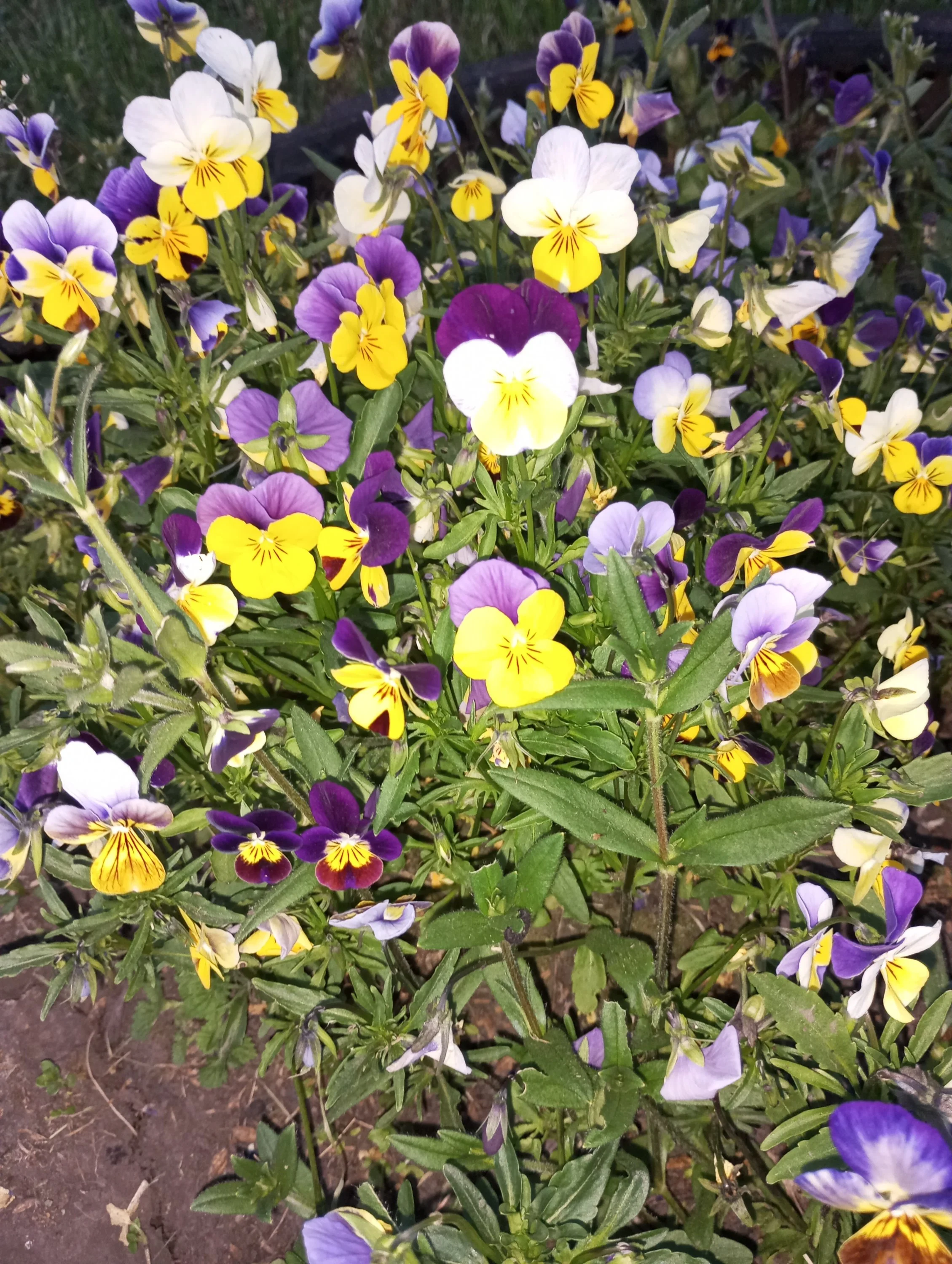 2024-05-29 20-49-07.webp