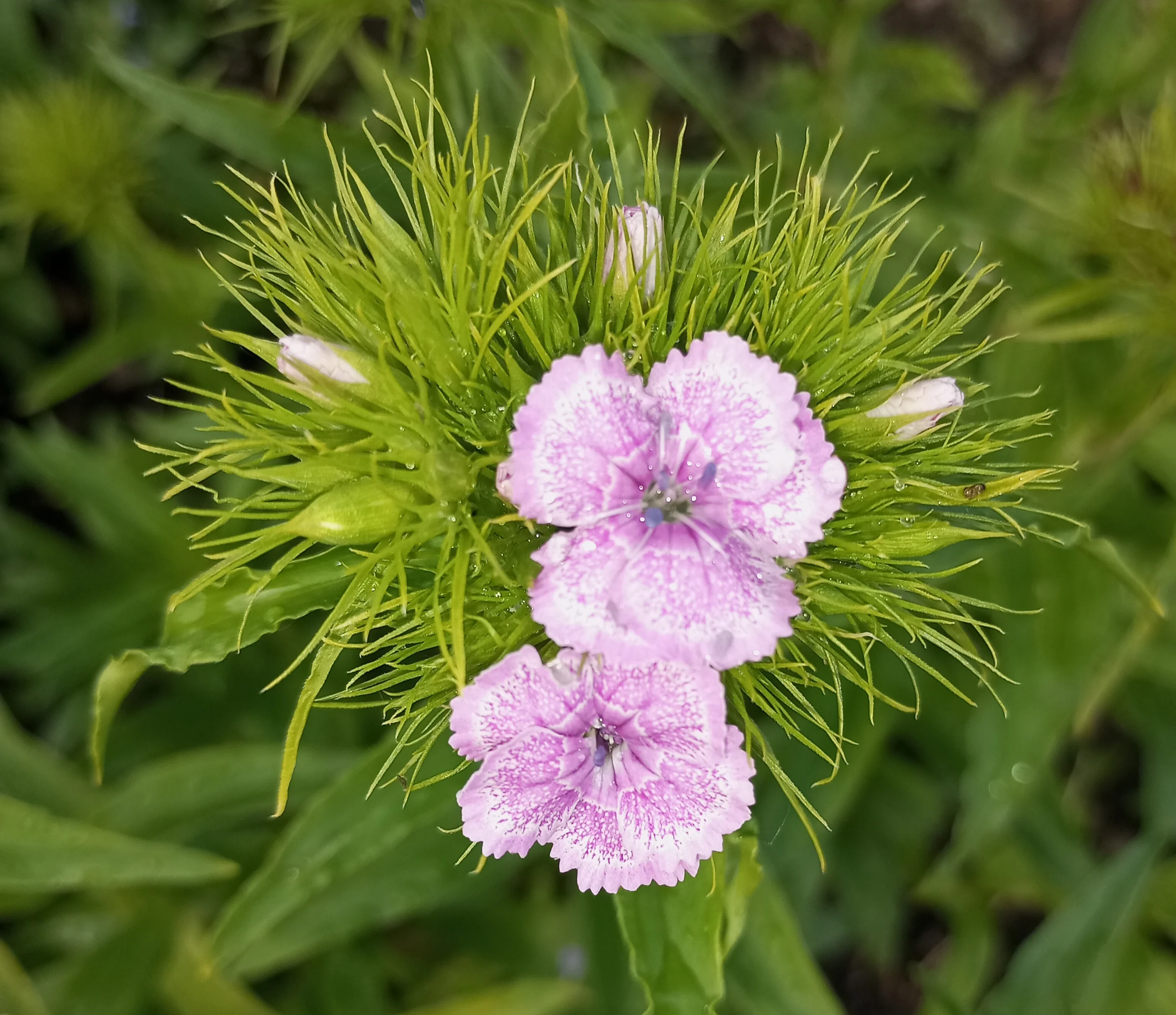 2024-06-01 17-18-16_1717251943.webp