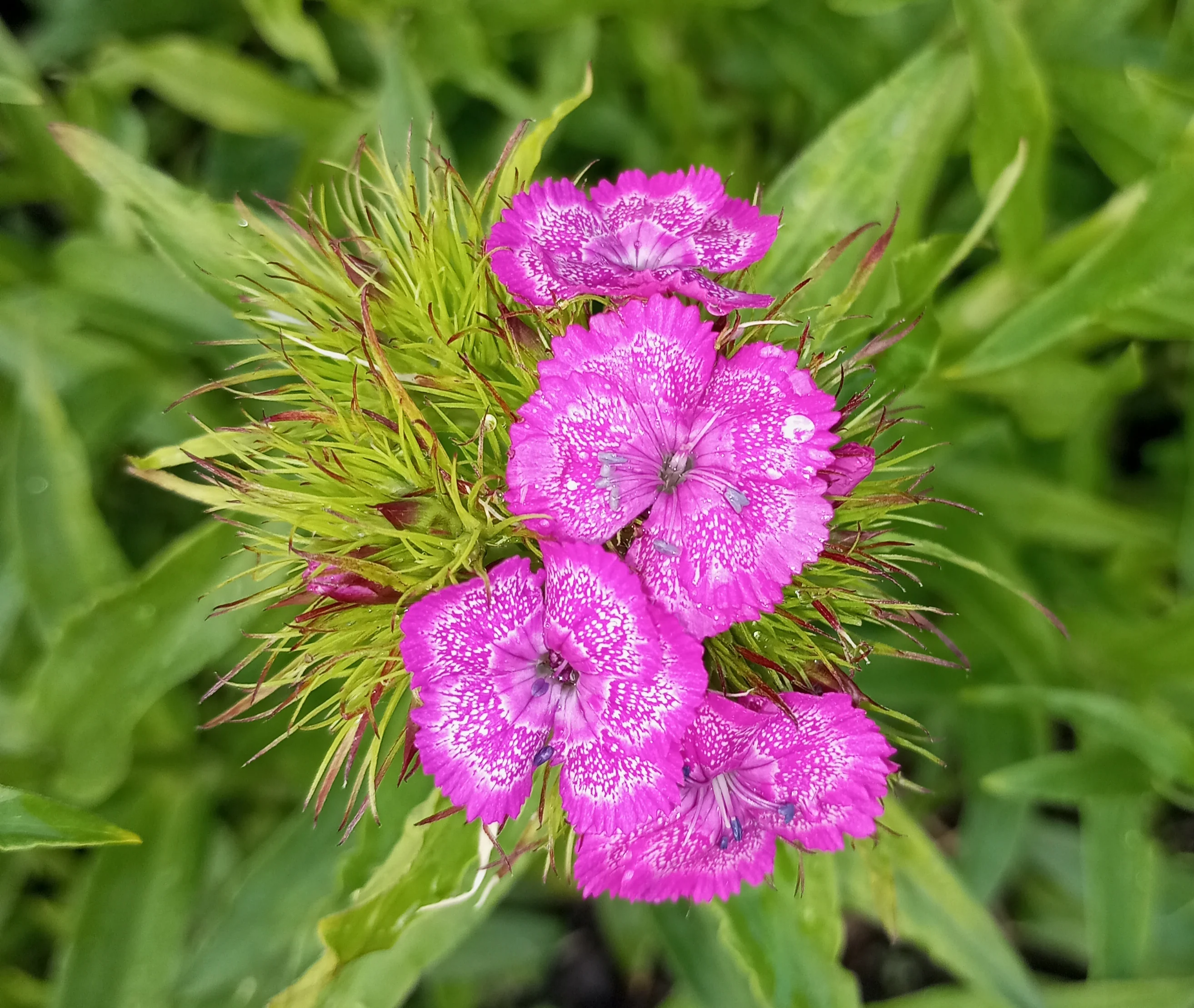 2024-06-01 17-18-21_1717251912.webp